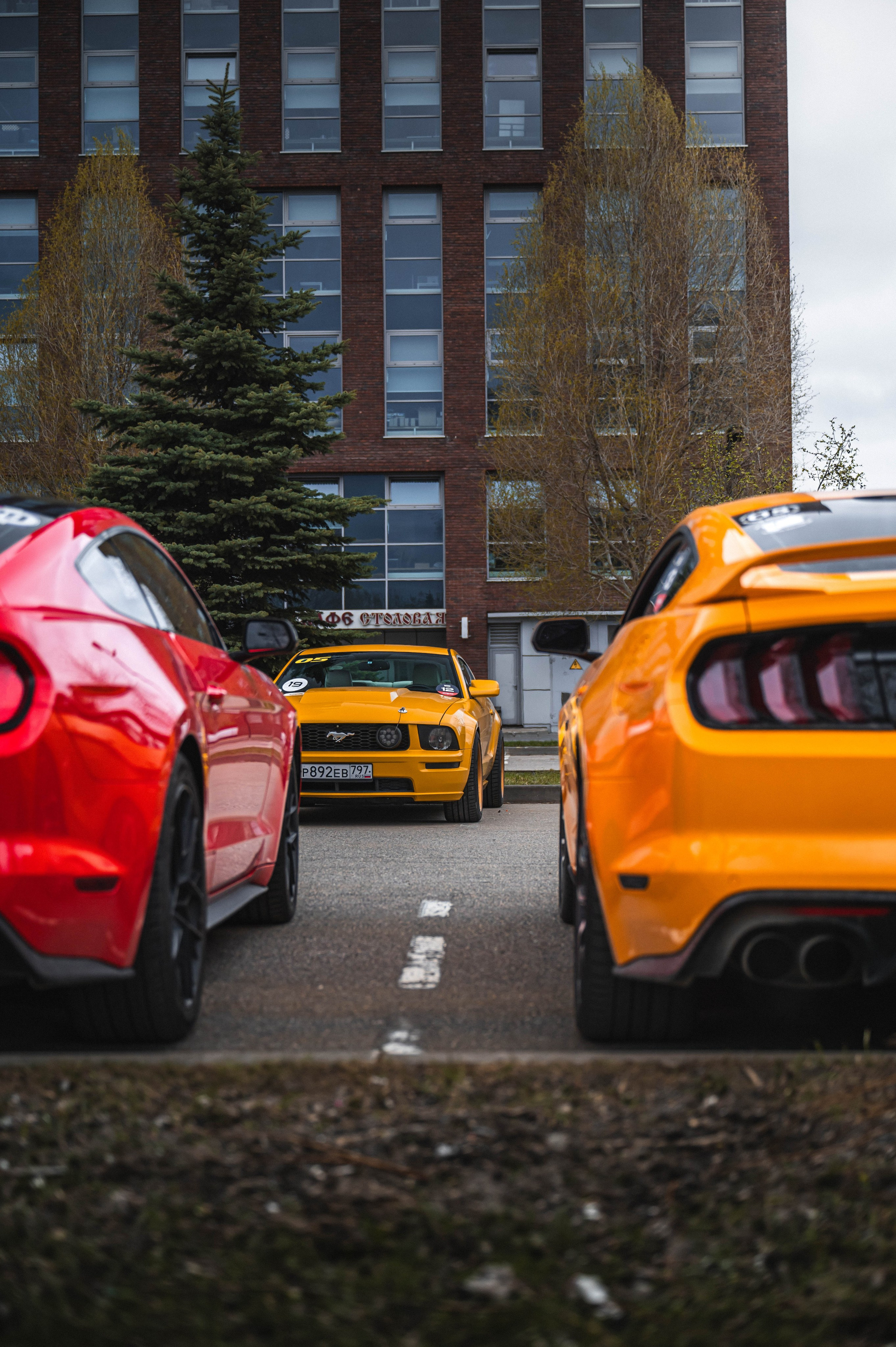 Сбор Mustang Club. Автомобильный фотограф в Москве — Сидоров Дмитрий