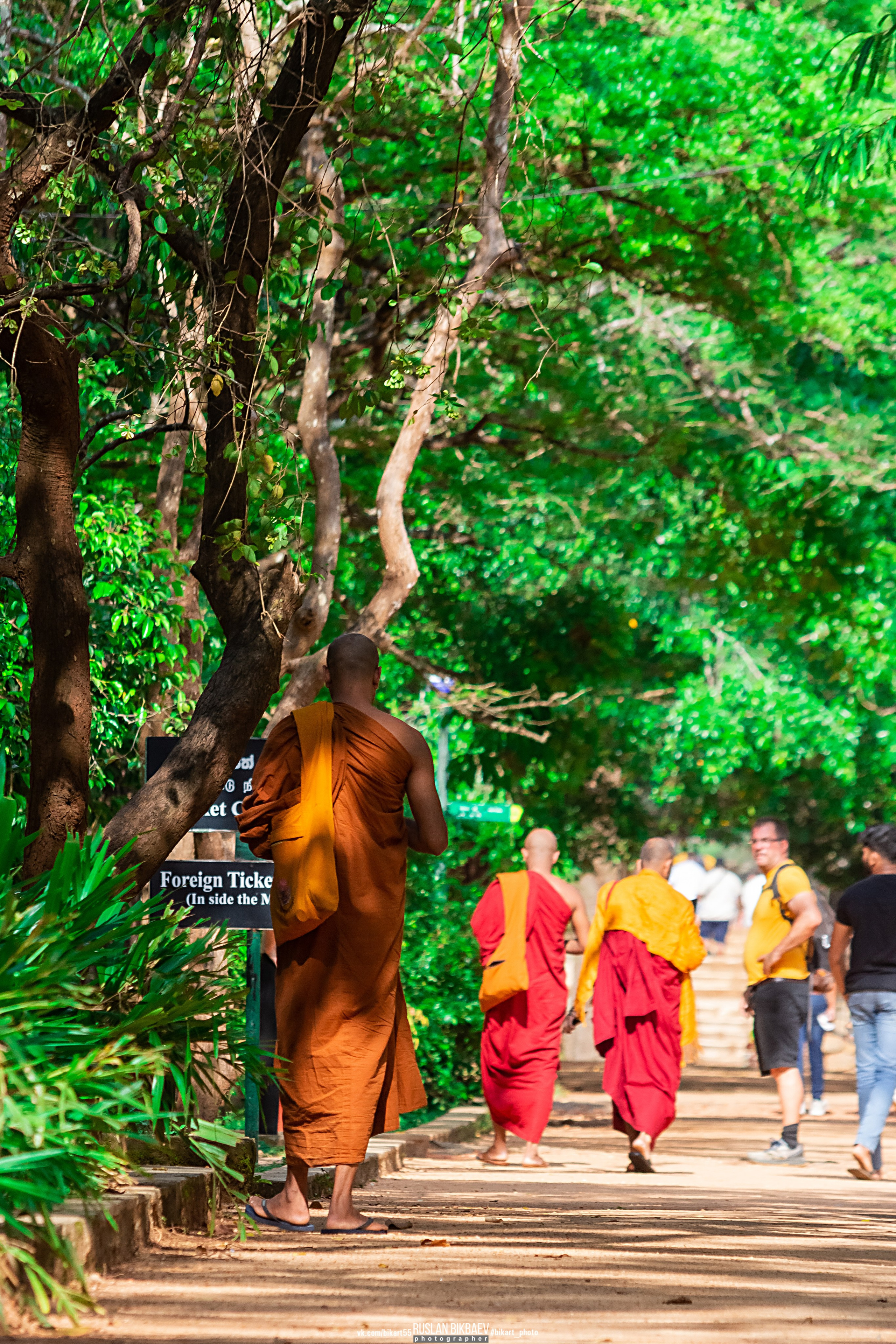 ШРИ-ЛАНКА 2025 / SRI LANKA 2025. Главная