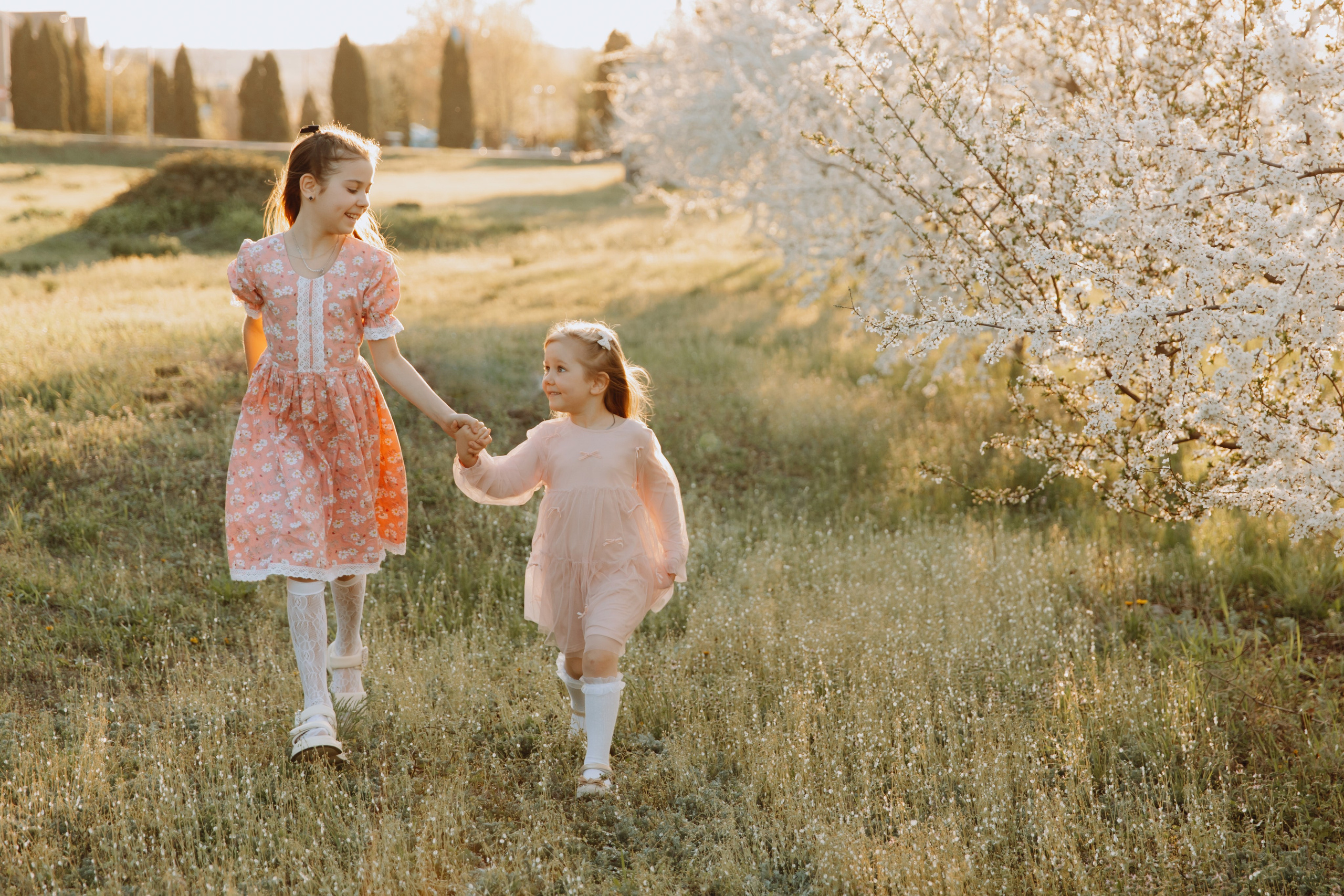 Цветение. Фотограф Максим Никонов