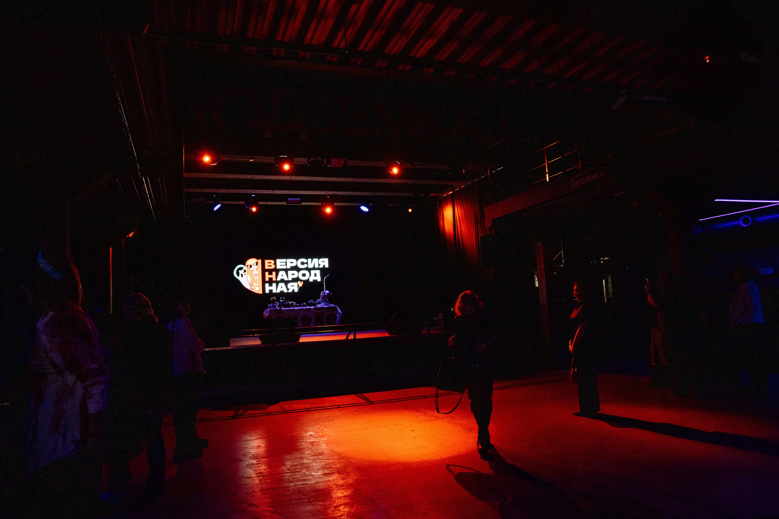 Концерт «Версия Народная». Фотограф Юлия Мальцева