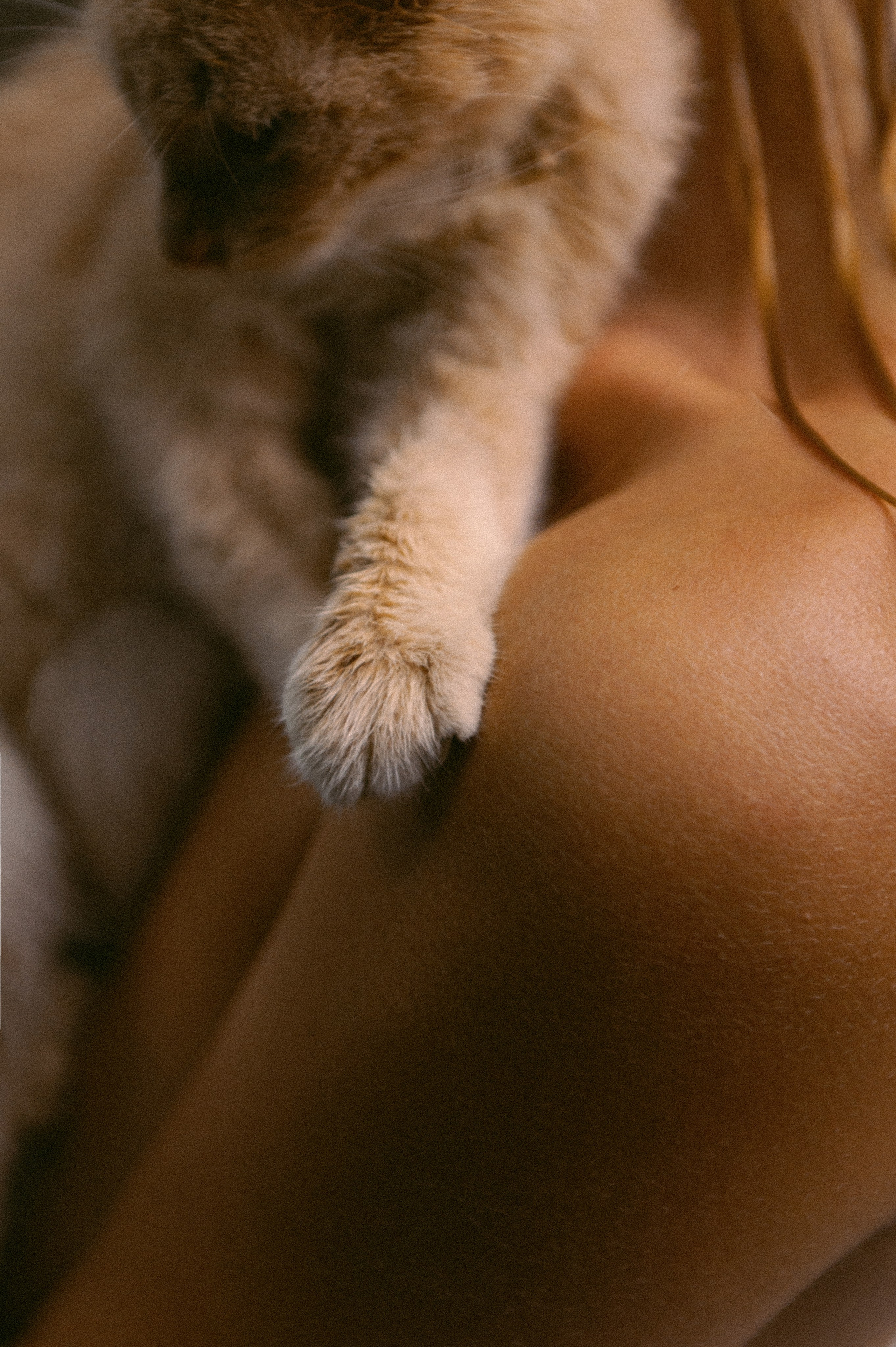 Портфолио. Фотограф Татьяна Кудряшова