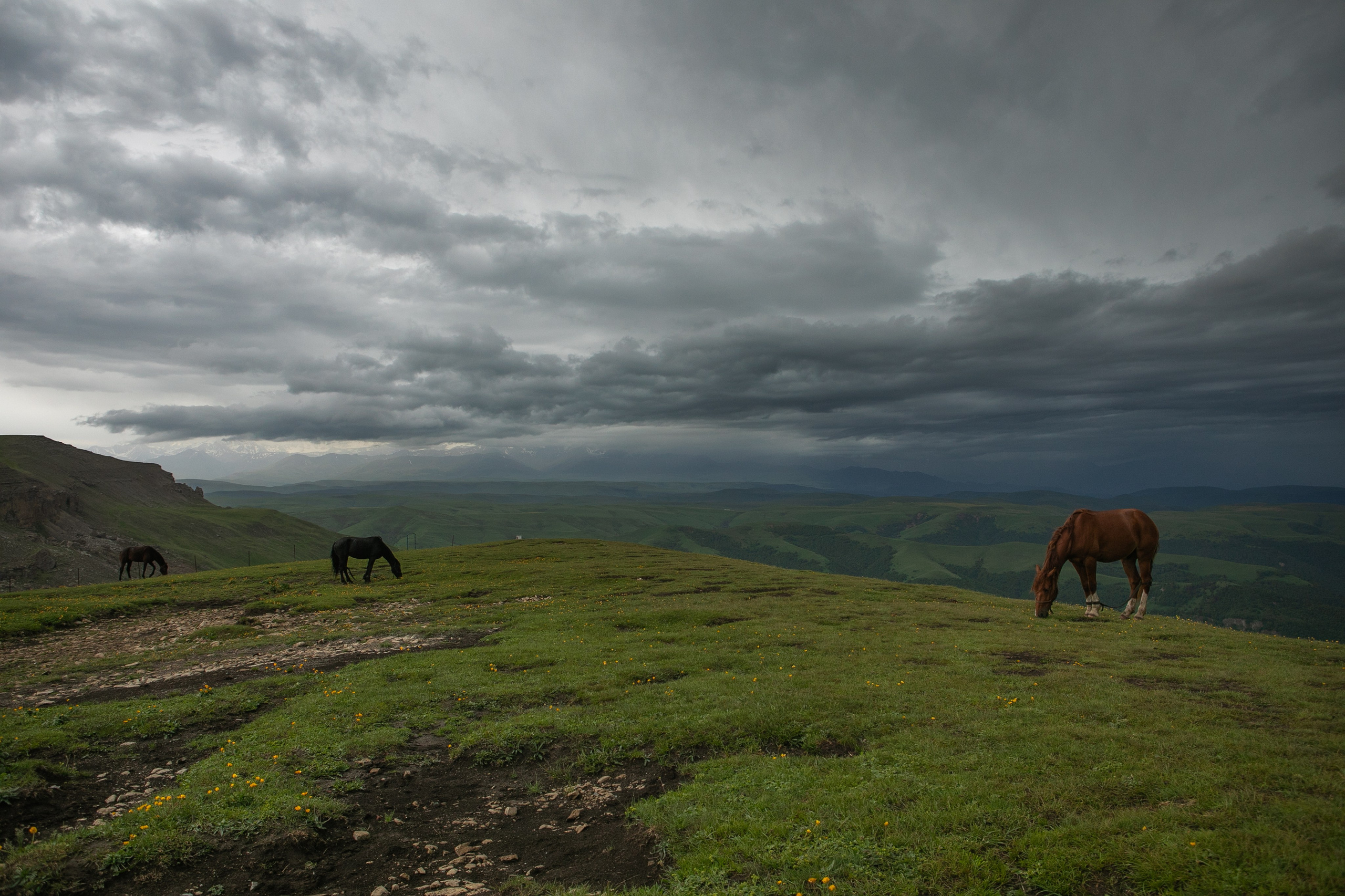 Пейзаж. Фотограф Наталья Туева FineArt съёмка