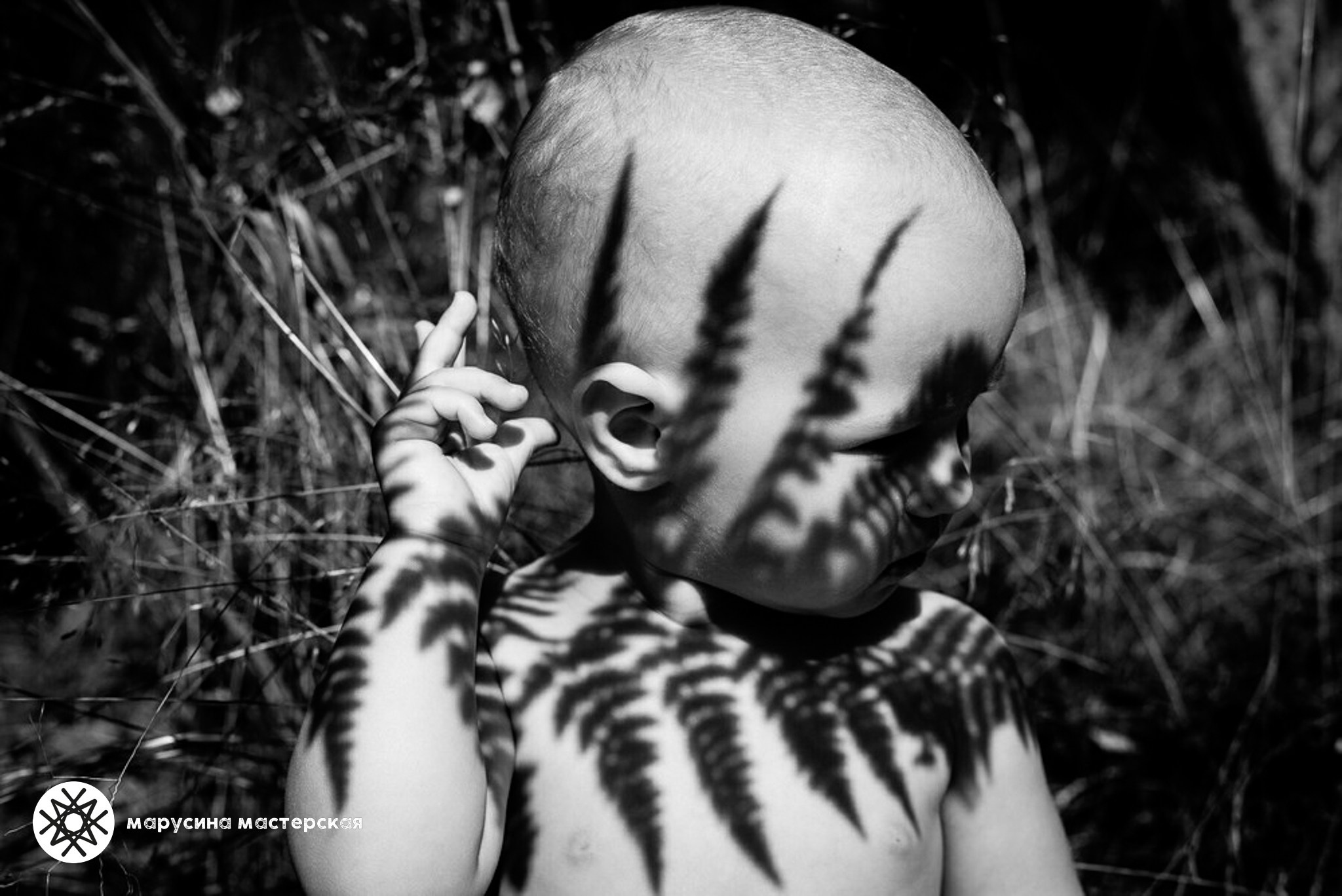 Творческая фотография, снятая в рамках осенней творческой практики