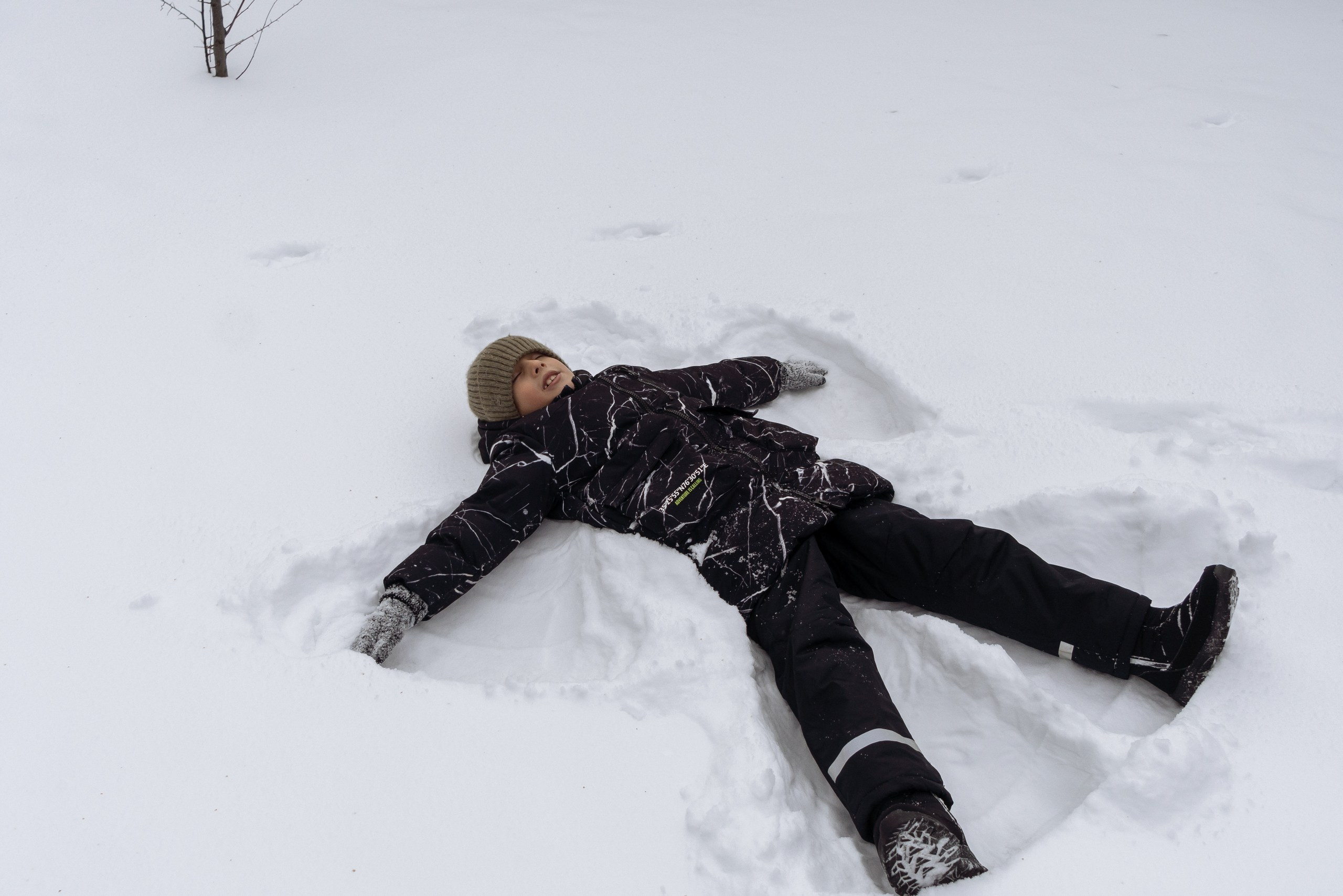 Встречи с зимними белками и катания на санках. Событийный фотограф Максим Бескоровайновнов