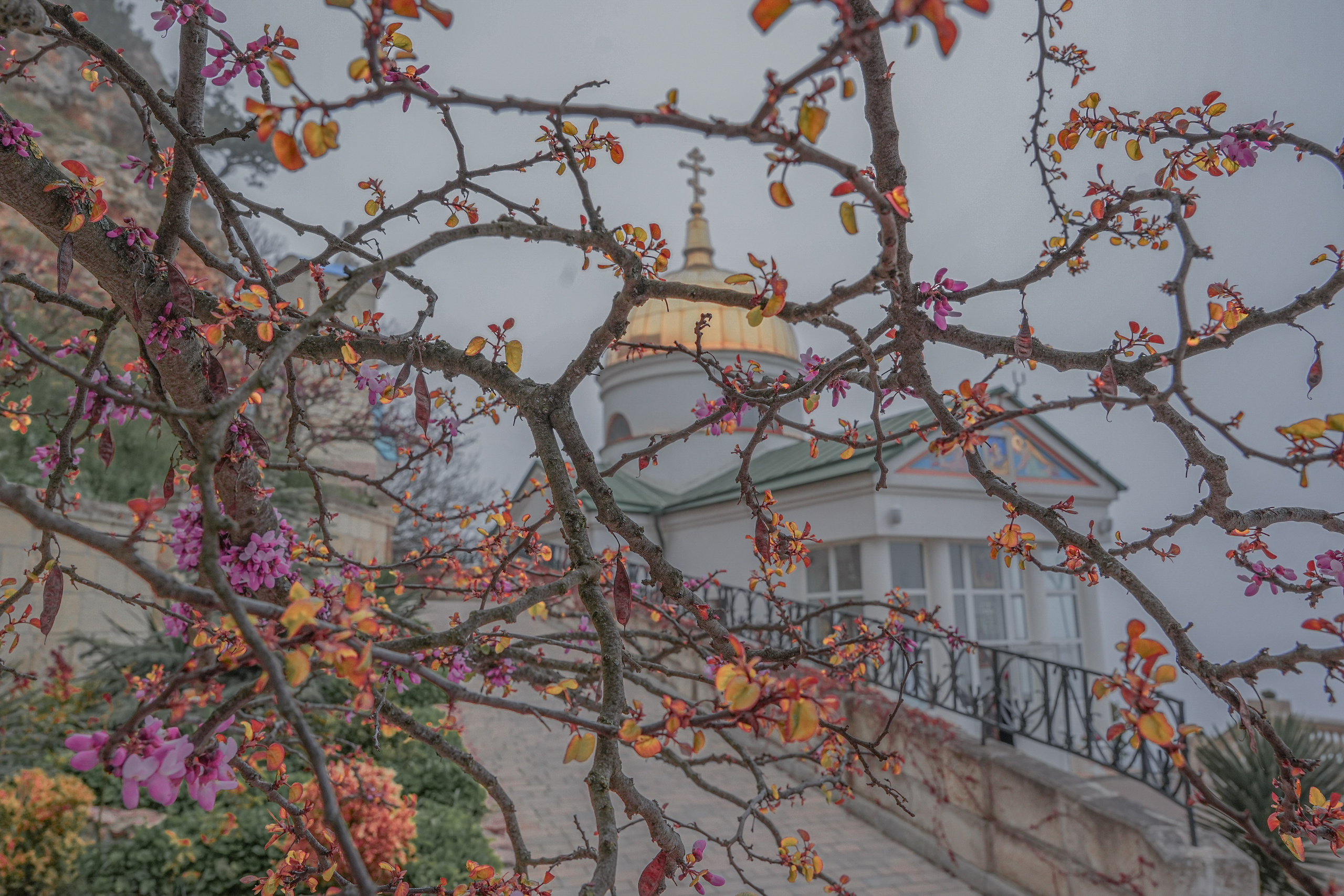 Фотосессия семейная и детская. Фотограф на крещение и венчание в Екатеринбурге. Ольга Мезенцева