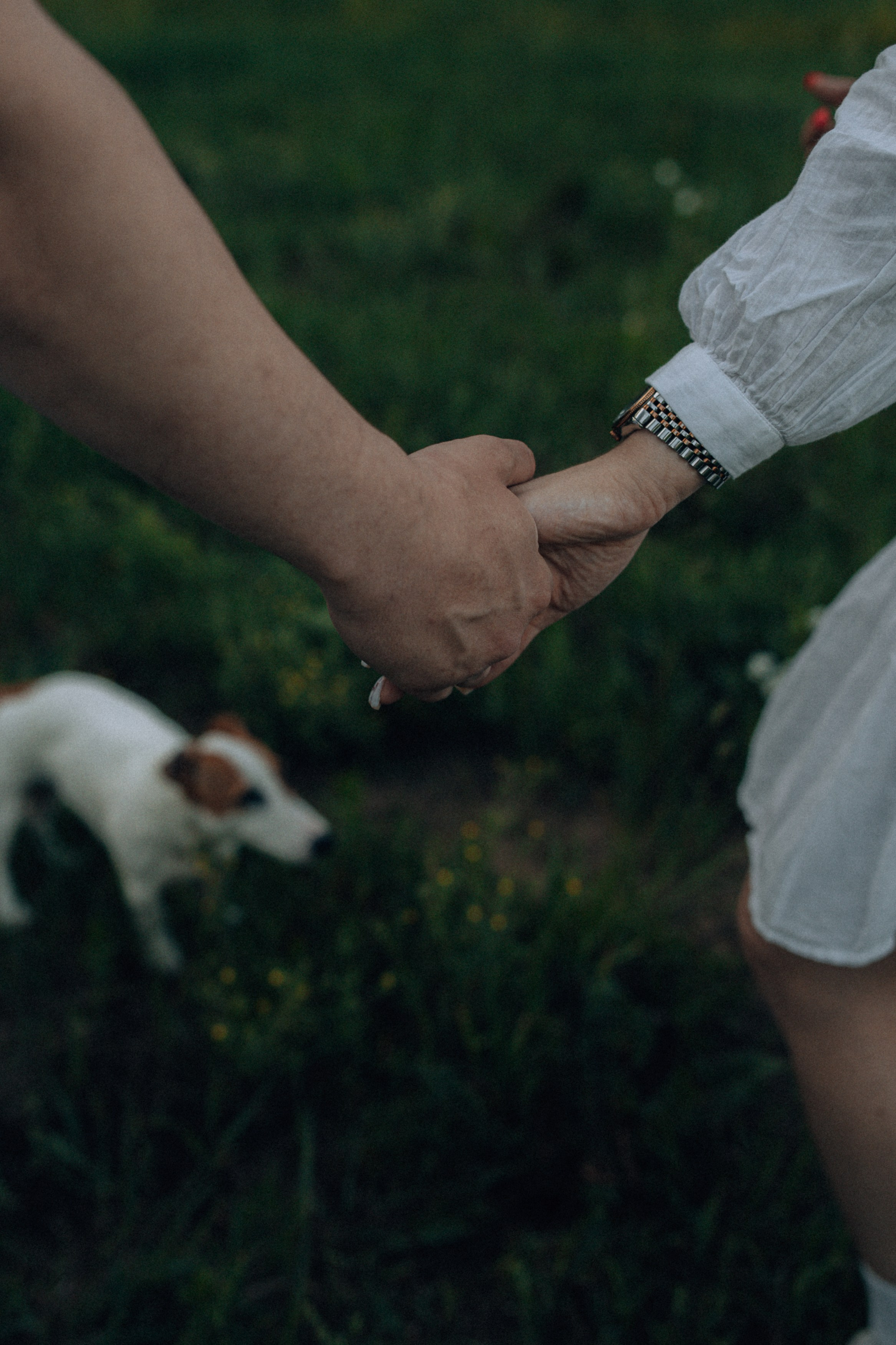 Яна и Валера. Свадебный фотограф в Ярославле Андрей Перегудов