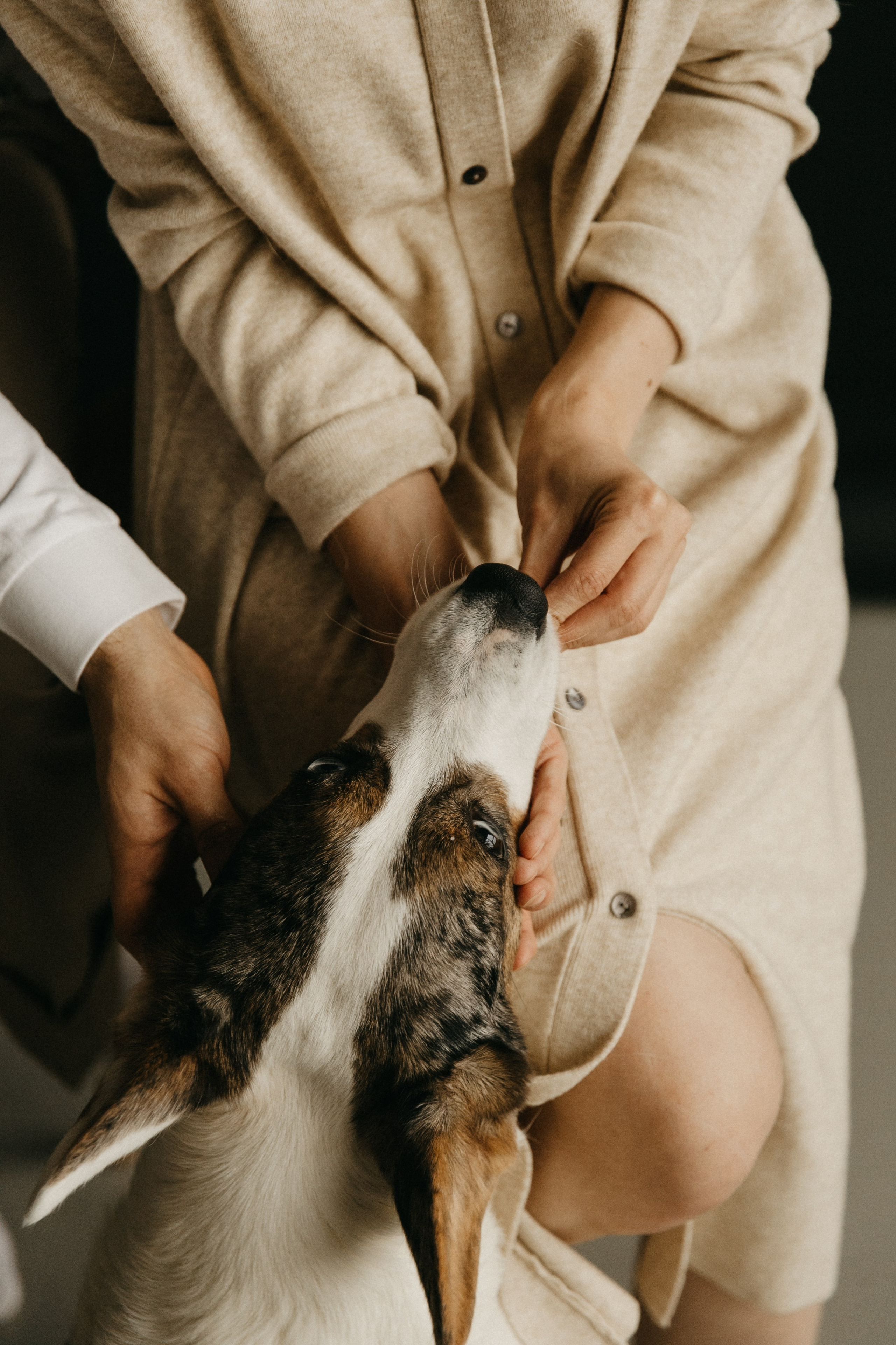 Алена, Виталик, Аня, Сэм. Главная