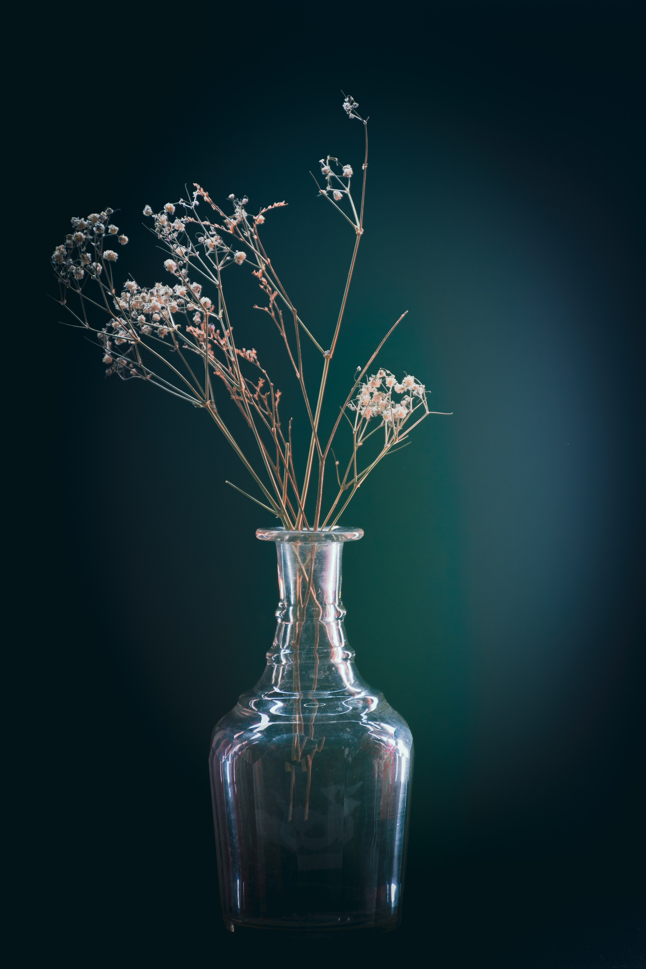 Натюрморты. Фотограф и оператор в Москве Елизавета Коргалидзе