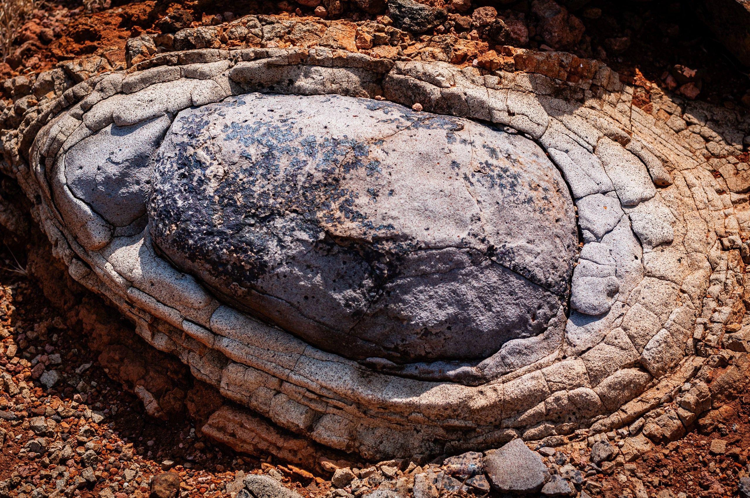 Осязаемая красота. Авторские стильные фотокартины