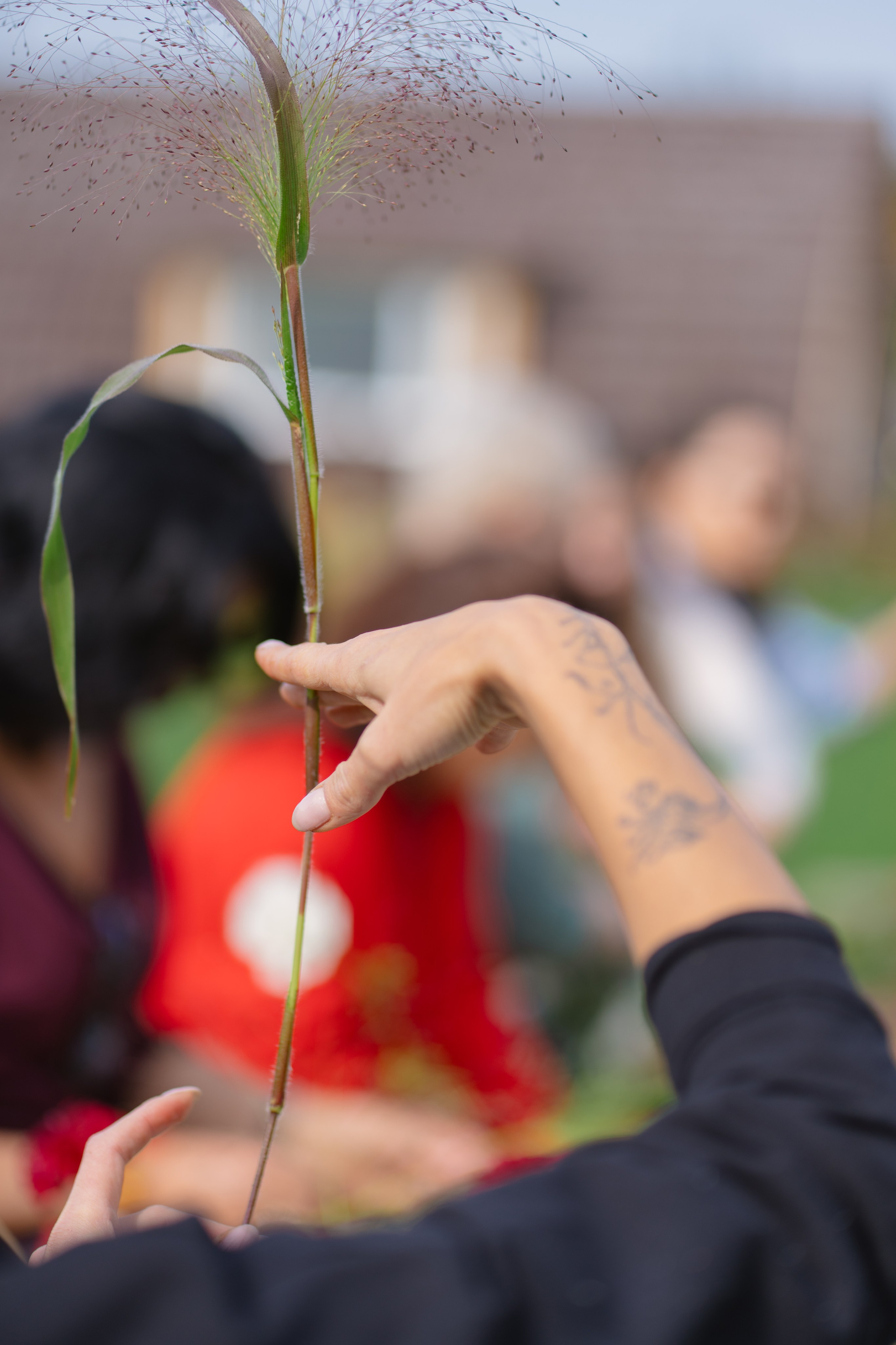 День Рождения в Daisy Flowers. Профессиональная съемка в Алматы