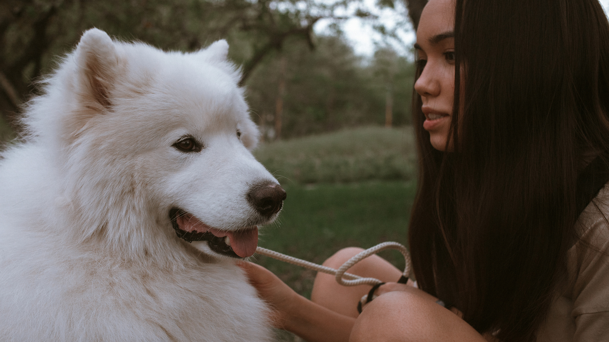 Диана и Артём. Катерина Аникеева | Фотограф | Екатеринбург