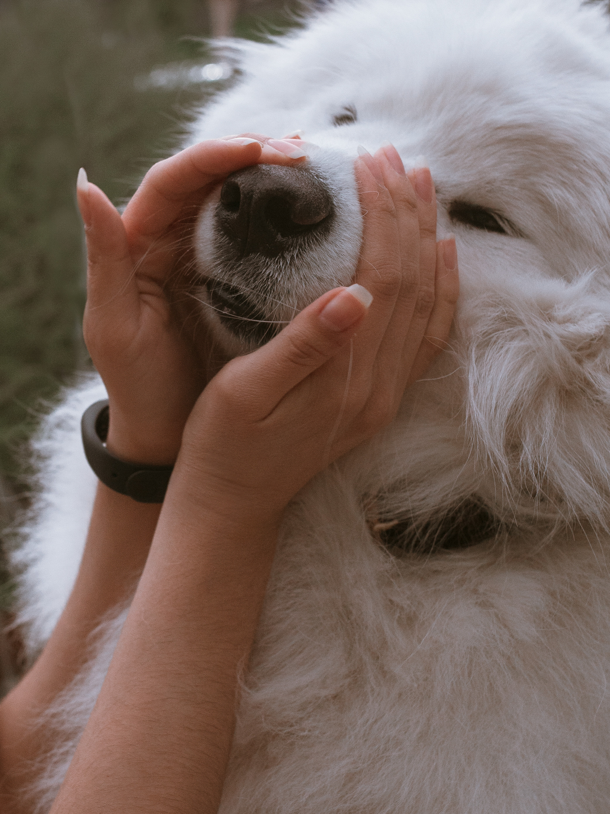 Диана и Артём. Катерина Аникеева | Фотограф | Екатеринбург
