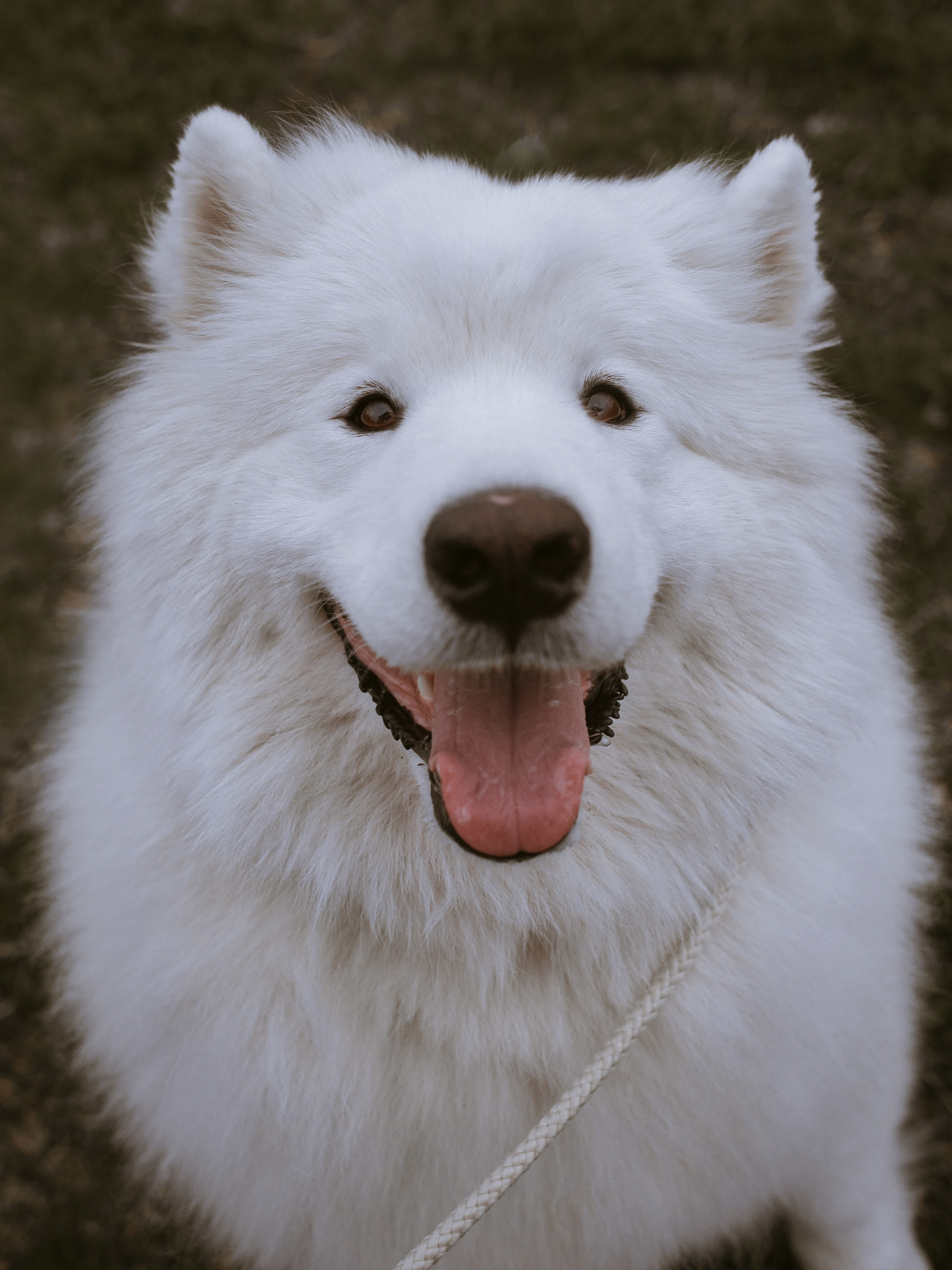 Диана и Артём. Катерина Аникеева | Фотограф | Екатеринбург