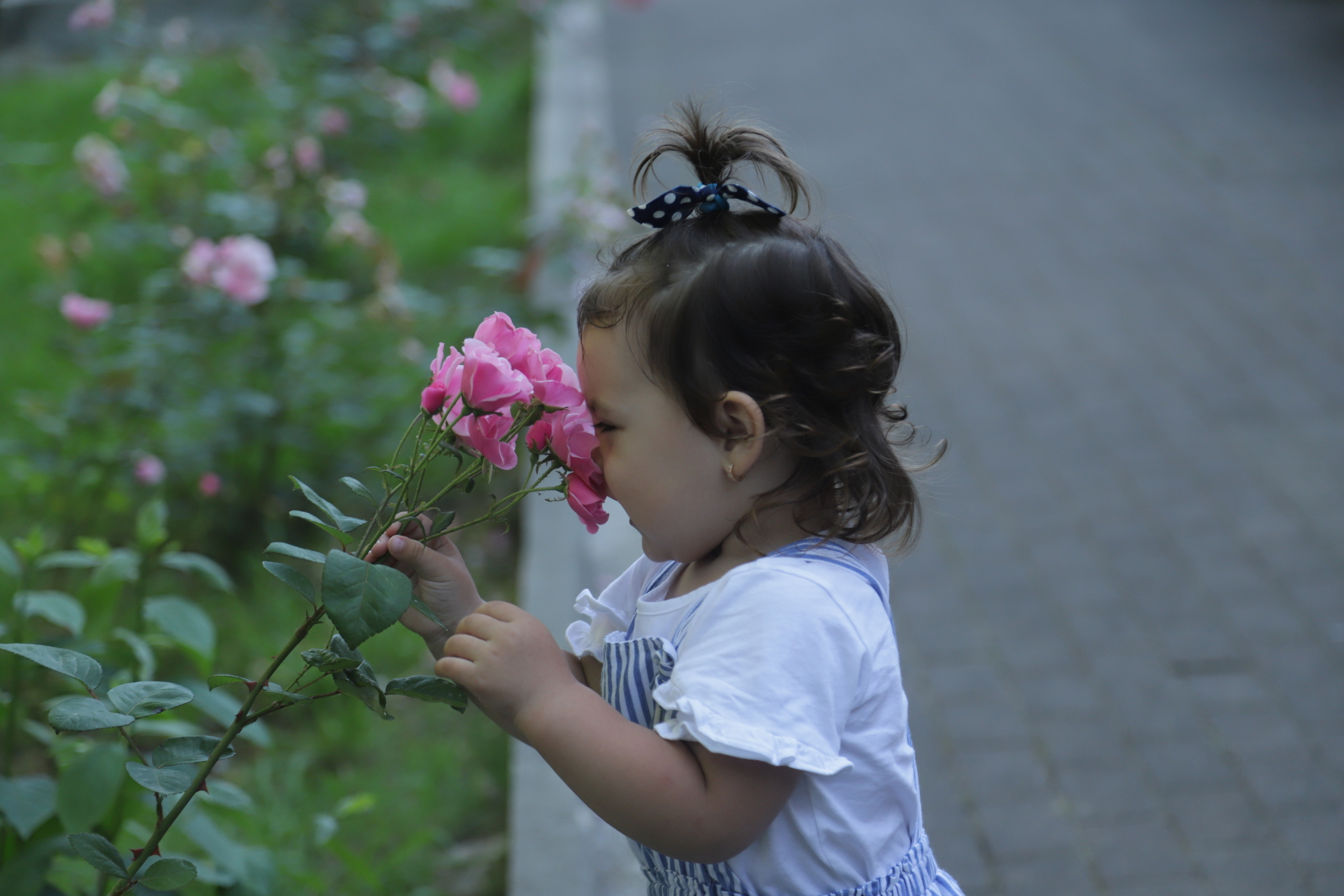 Семейные фотосессии, фотограв в Сочи, Свадебая фотосессия, свадьба Соч. Фотограф в Сочи! Детские, семейные свадебные фотосессии! Главный эмоци