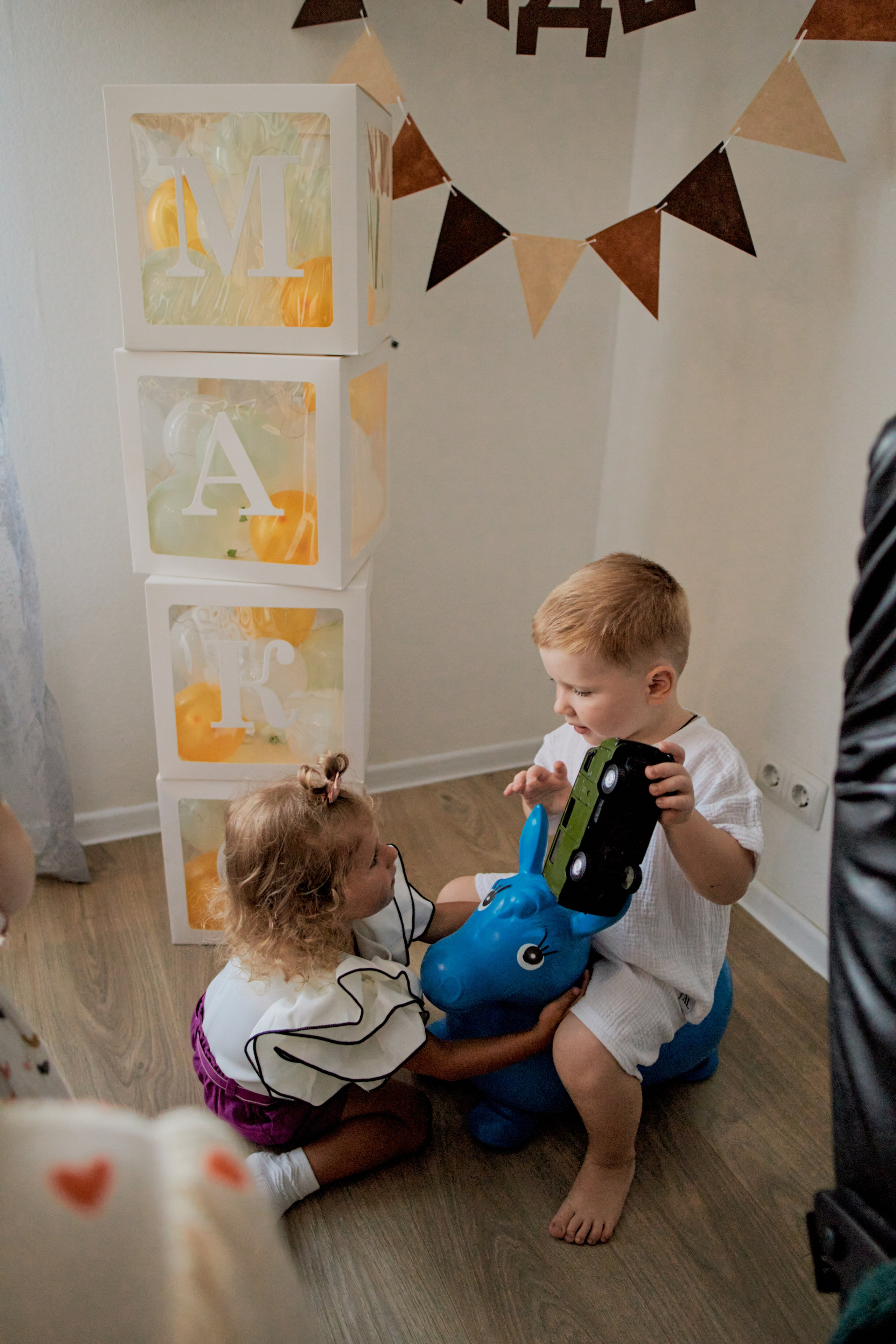 Три кота. Фотограф Москва