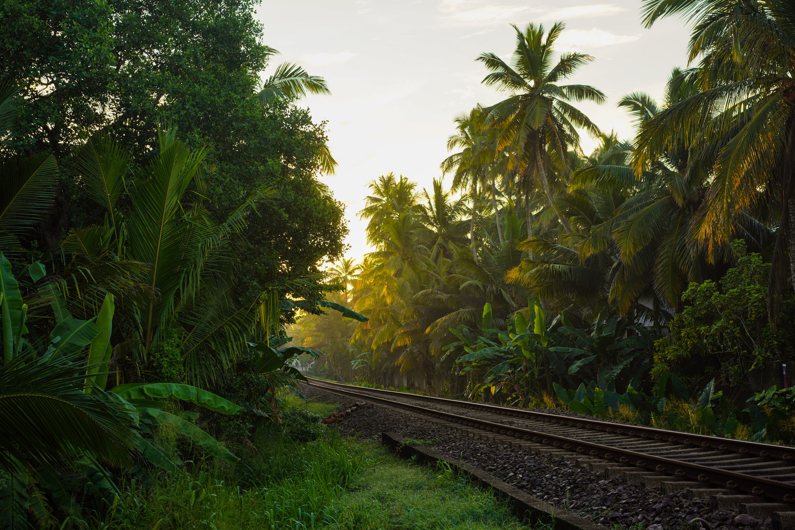 Остров Шри-Ланка. Фотограф Сергей Кишкель Дананг Нячанг Фукуок
