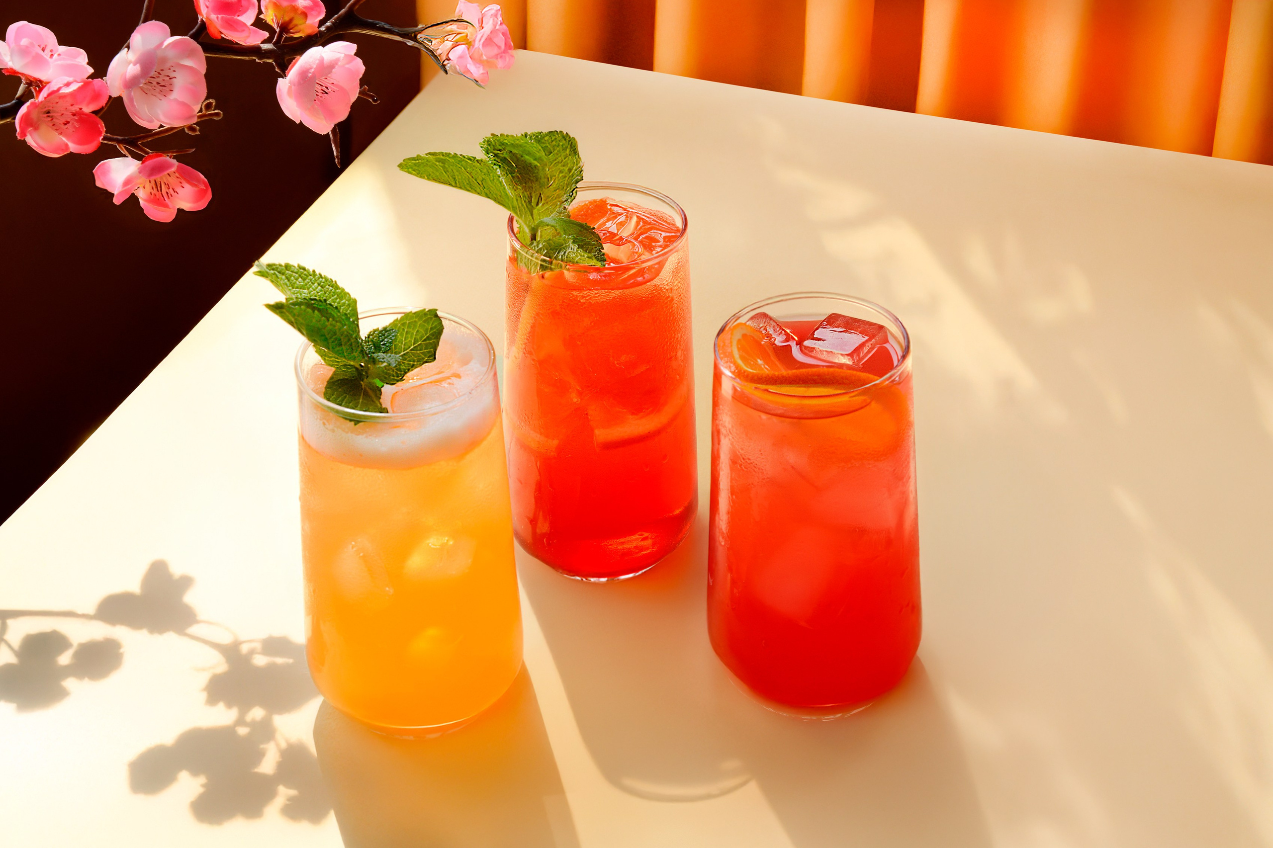 Профессиональная фотосъемка для меню баров и ресторанов. Фотограф Новосибирск /предметный фотограф www.kazakovtsevstudio.com