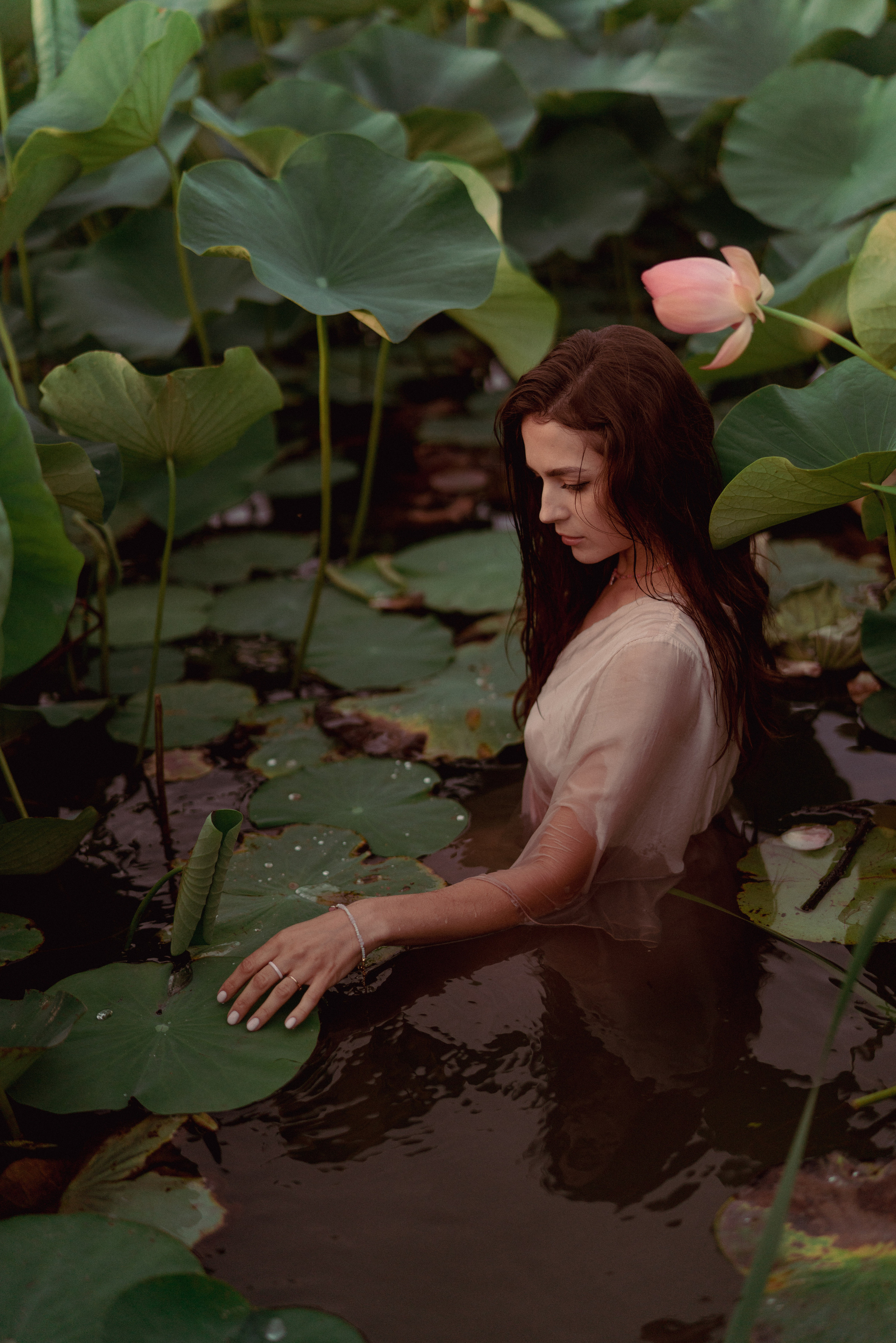 Лотосы. Фотограф Алматы, курс по Фотографии в Алматы. Дмитриева Наталья