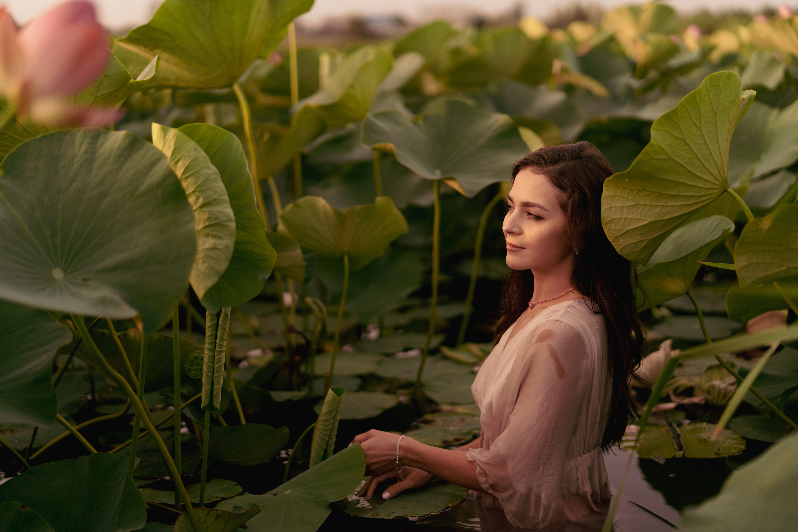 Лотосы. Фотограф Алматы, курс по Фотографии в Алматы. Дмитриева Наталья