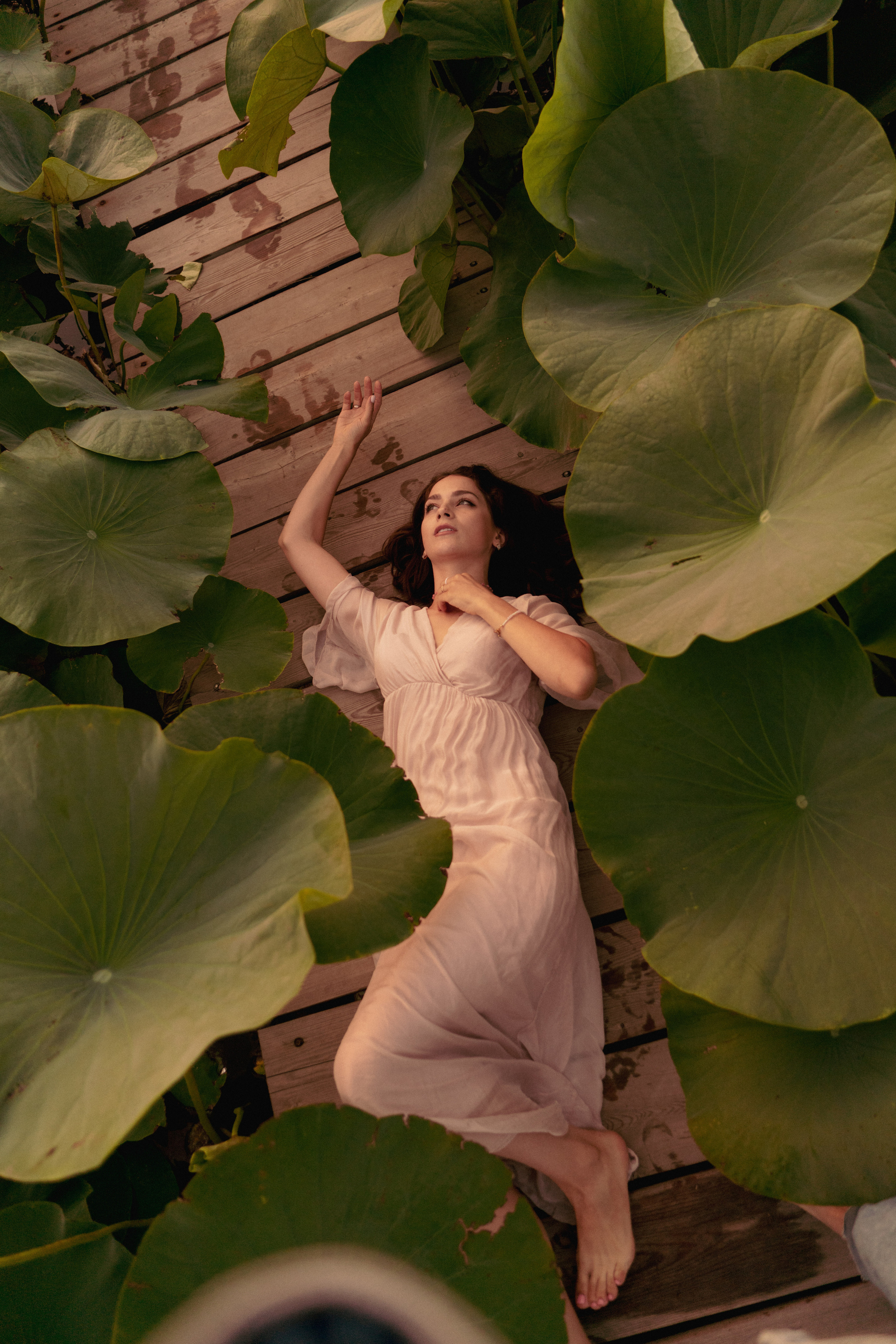 Лотосы. Фотограф Алматы, курс по Фотографии в Алматы. Дмитриева Наталья