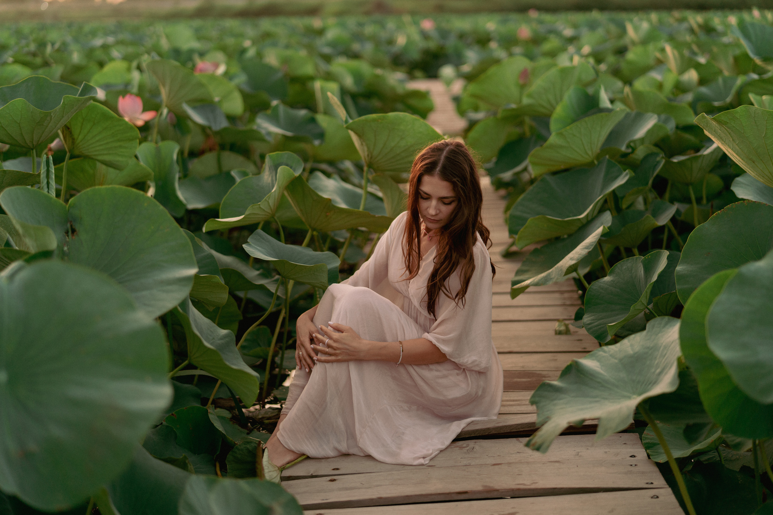 Лотосы. Фотограф Алматы, курс по Фотографии в Алматы. Дмитриева Наталья