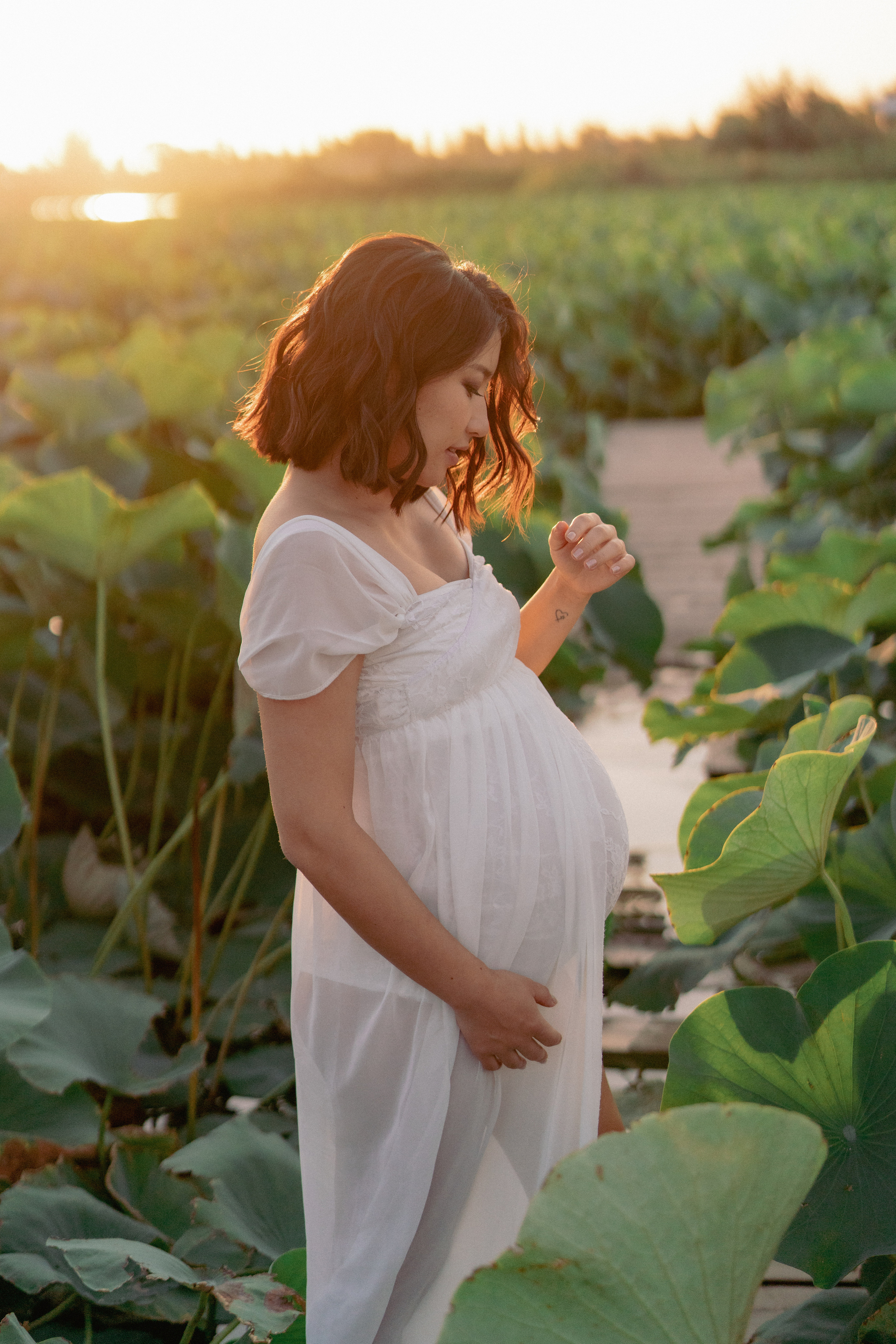 Большой Лотос. Фотограф Алматы, курс по Фотографии в Алматы. Дмитриева Наталья