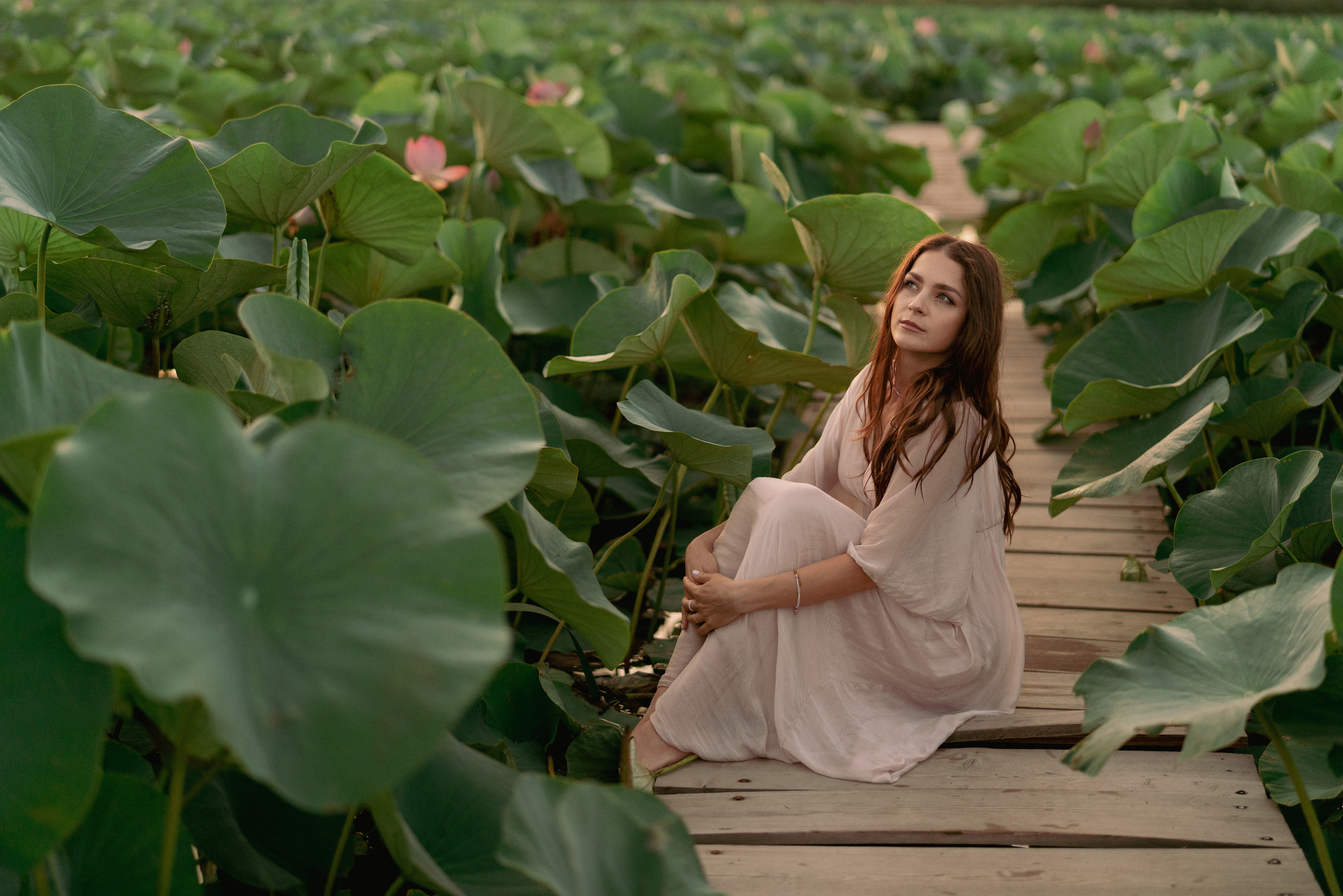 Большой Лотос. Фотограф Алматы, курс по Фотографии в Алматы. Дмитриева Наталья