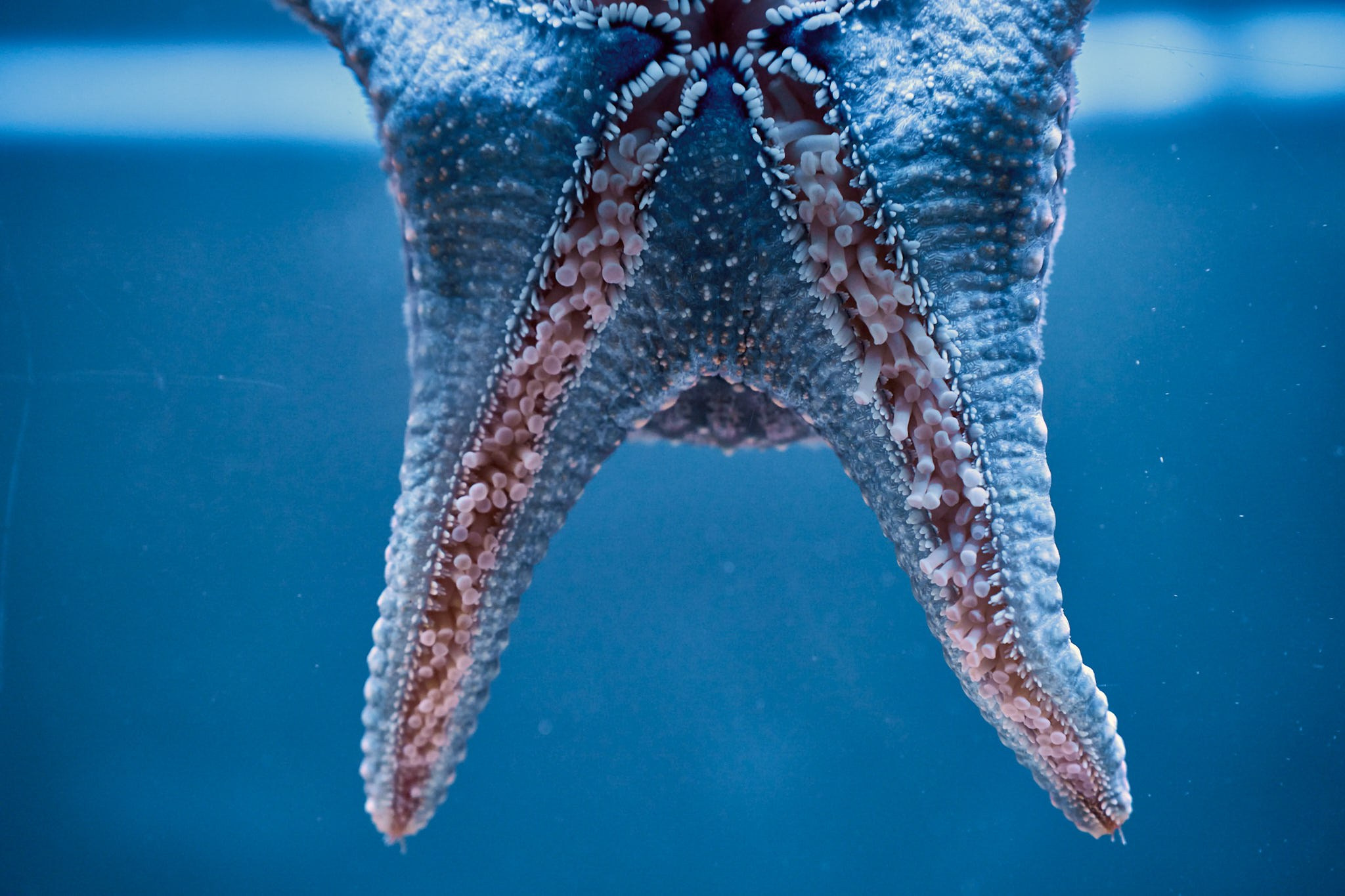 ZOO. ФОТОГРАФ ЕКАТЕРИНБУРГ