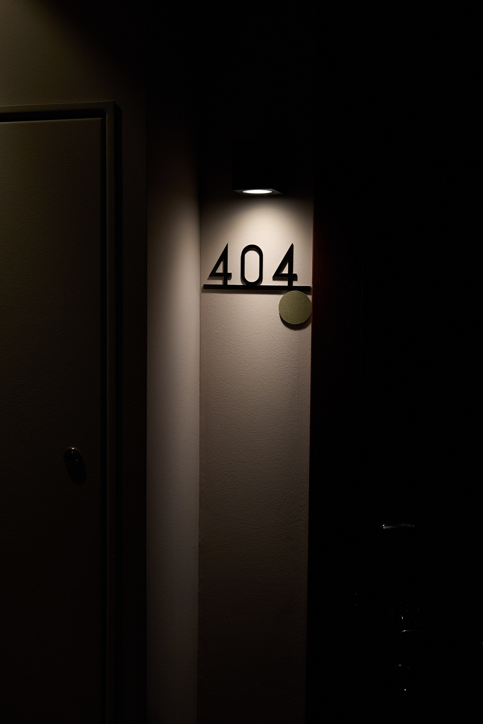 Рождество въ Санктъ-Петербургѣ. Фотографъ Сергѣевъ. Поймать мгновеніе