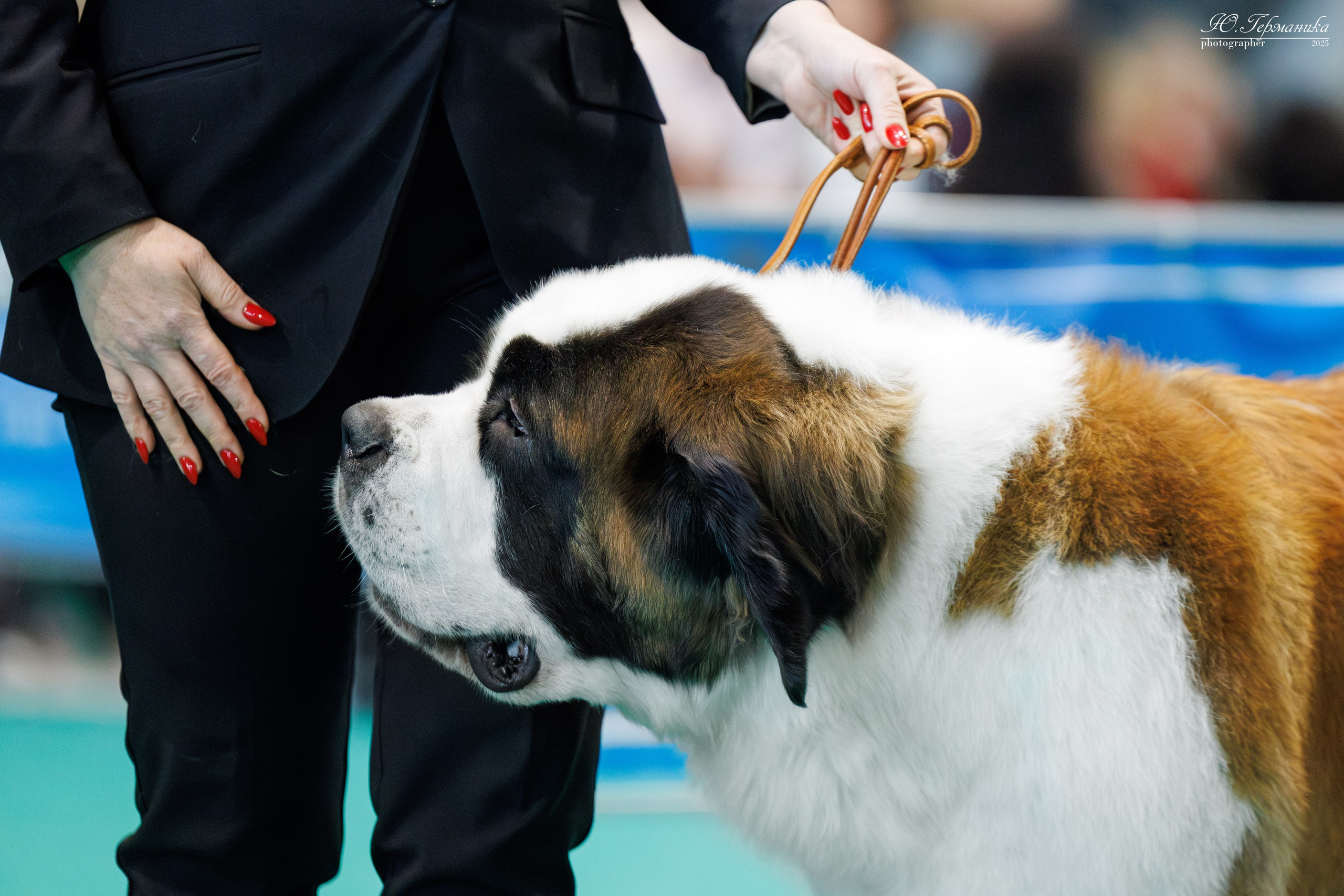 Минск 31.05-1.06.2025. Фотограф-анималист Юлия Германика