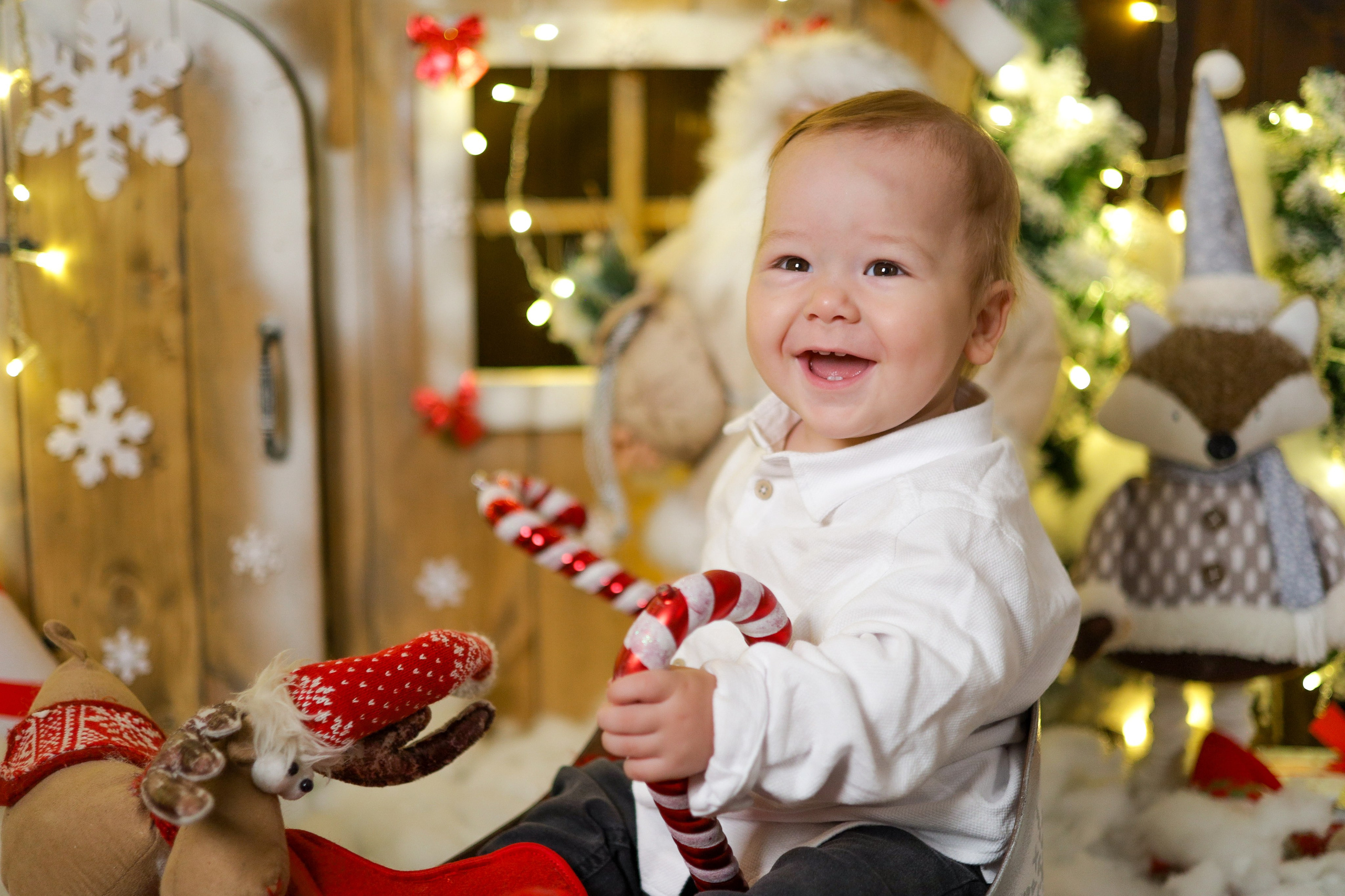 Дружная семья. Ваш семейный фотограф