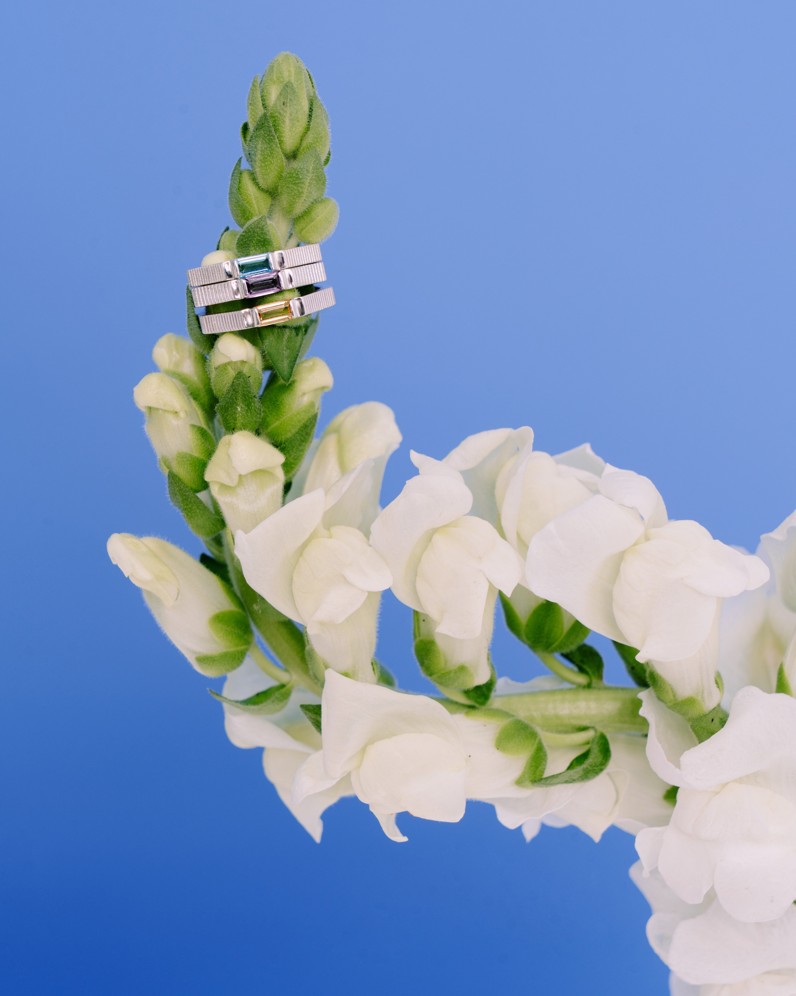 Bohoann. Fashion фотограф и Арт директор. Санкт-Петербург и Москва