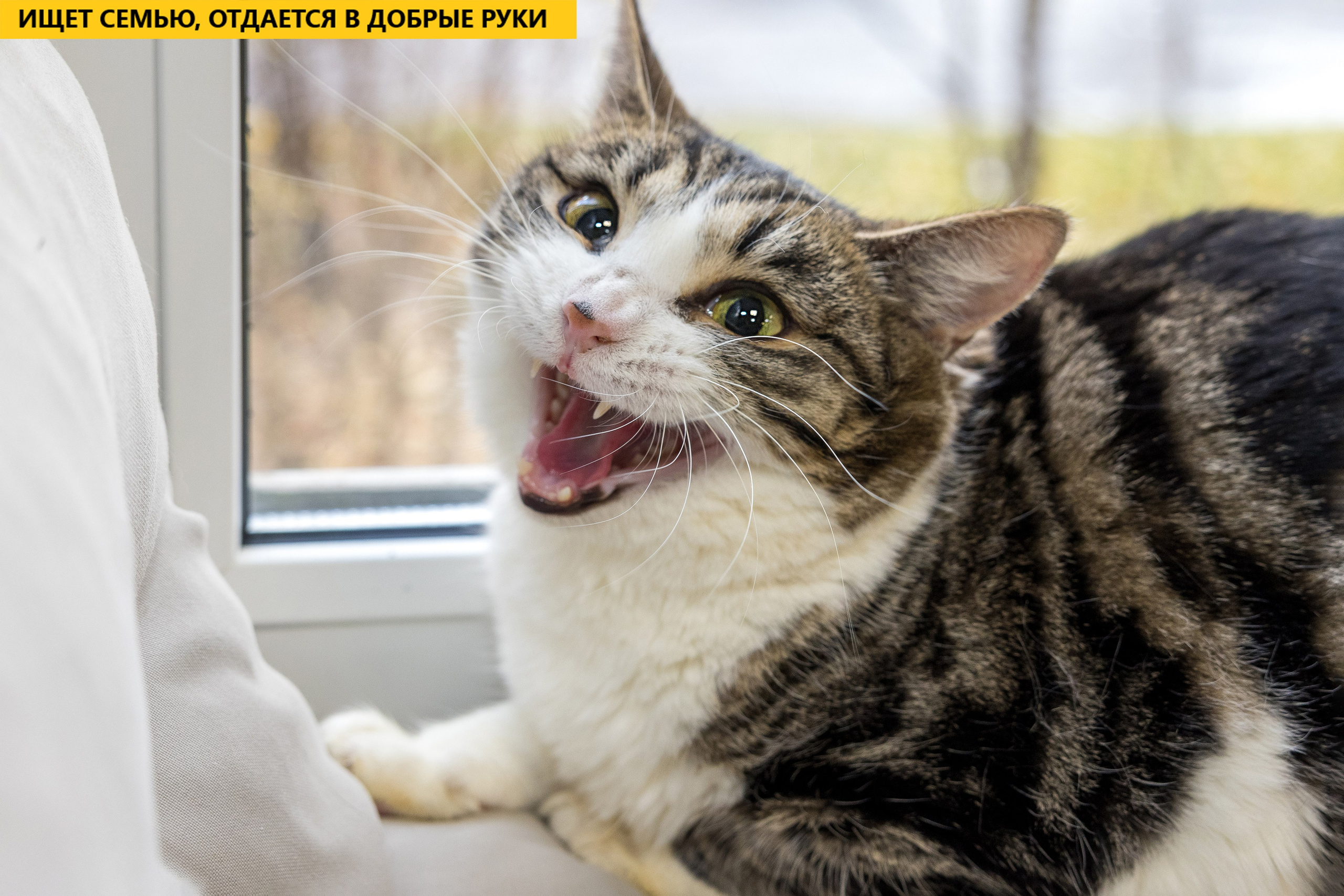 Рекламная съемка в Москве. Геннадий Степанов —фотограф в Москве