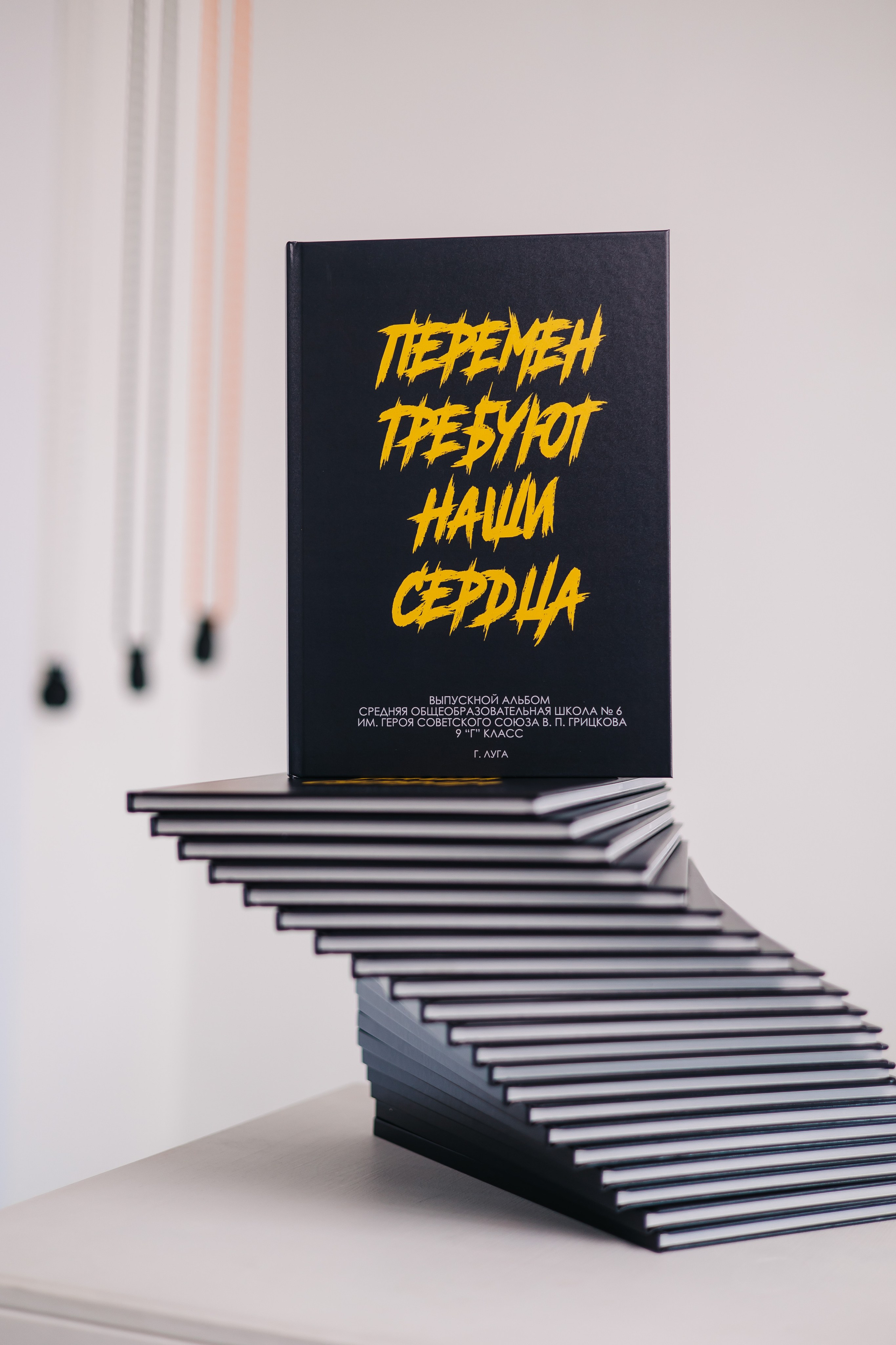 10 разворотов внутри. Выпускные альбомы в Луге/Школьные съёмки