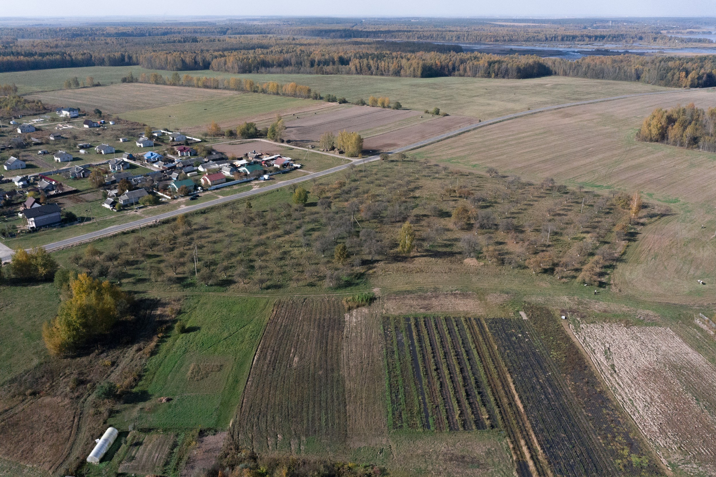Home.land. Künstler Verstecktoff