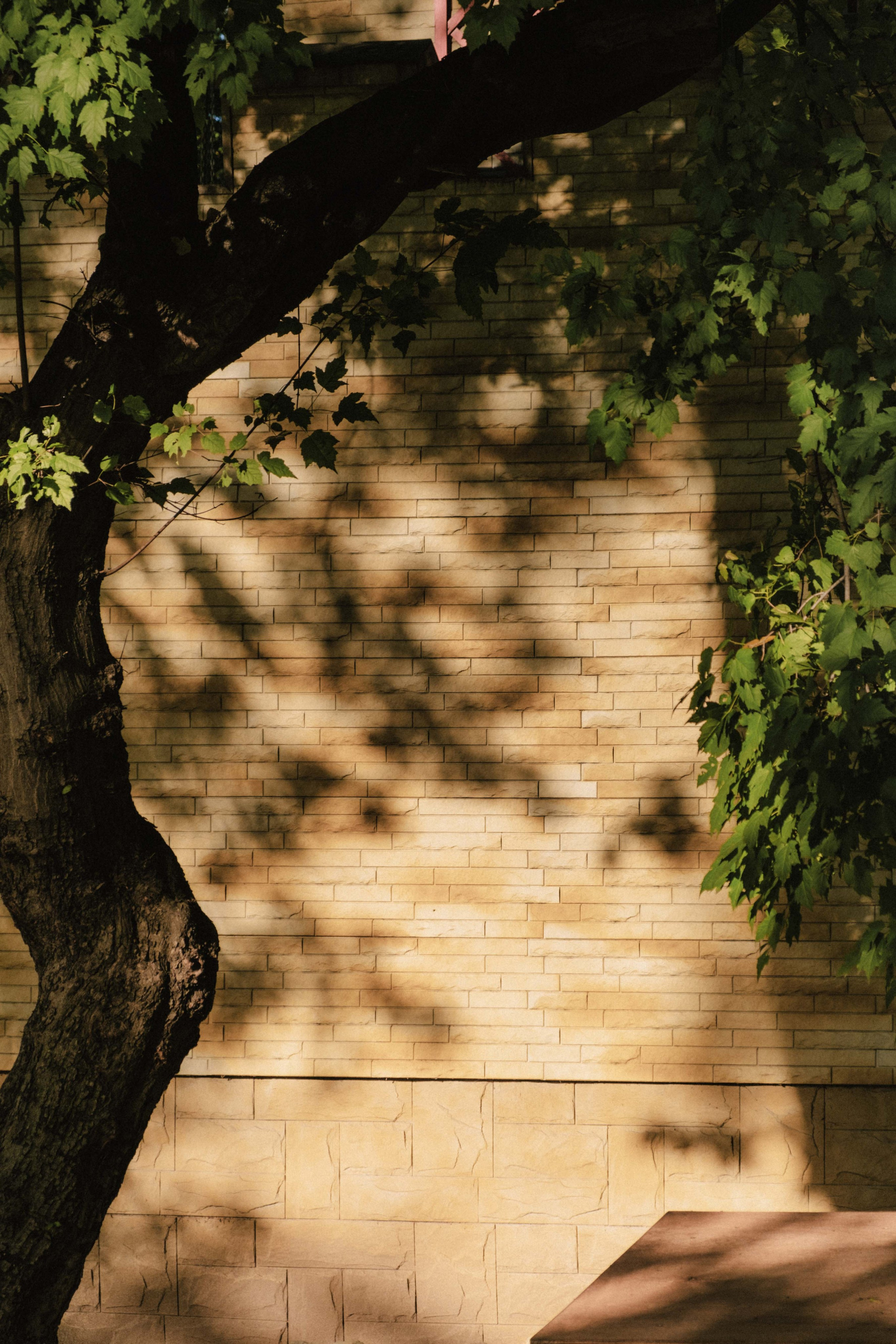 Замечательная повседневность. Контент-фотограф и видеограф в Перми