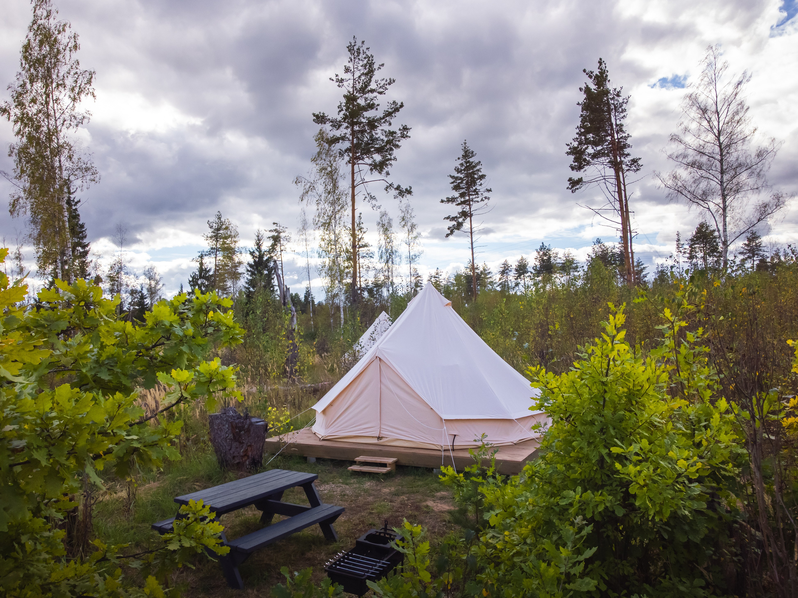 Палатка, трава, лето, лес, природа, база отдыха, загородный клуб, "ПОБЕГ ИЗ ГОРОДА"