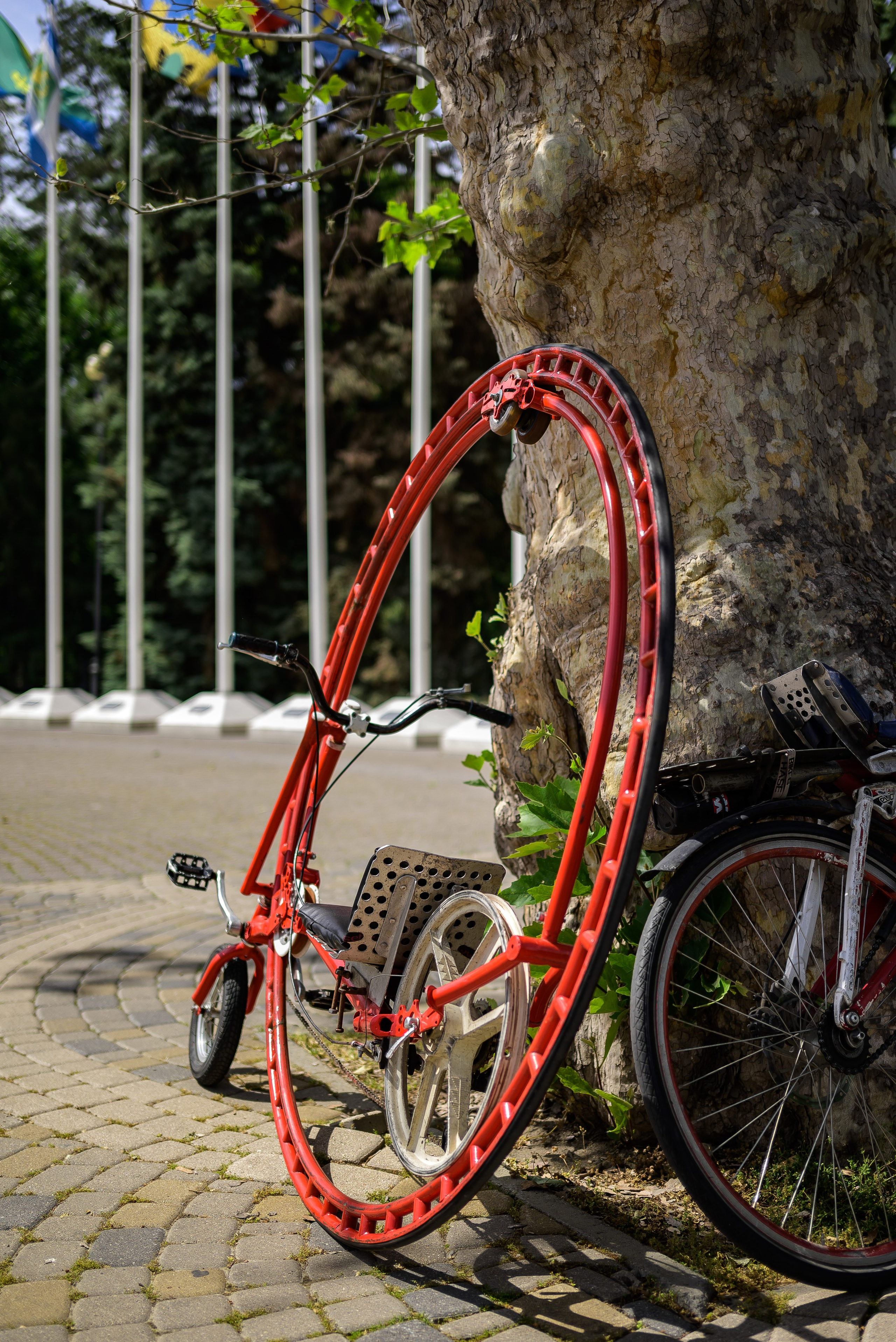 Репортаж для первого канала. Фотограф Краснодар Наталья Сувит