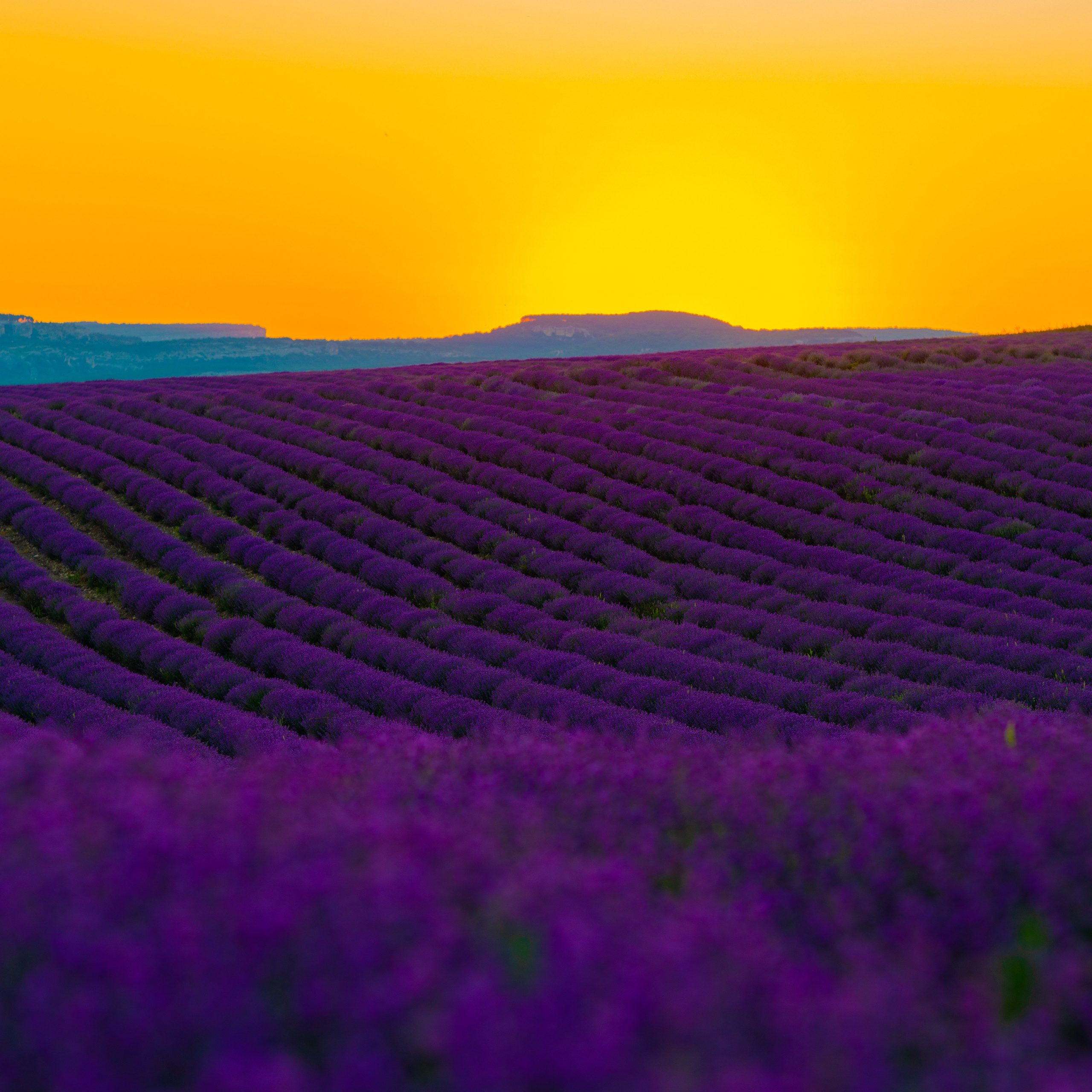 Портфолио. Фотограф Севастополь/Крым Светлана Евтушенко
