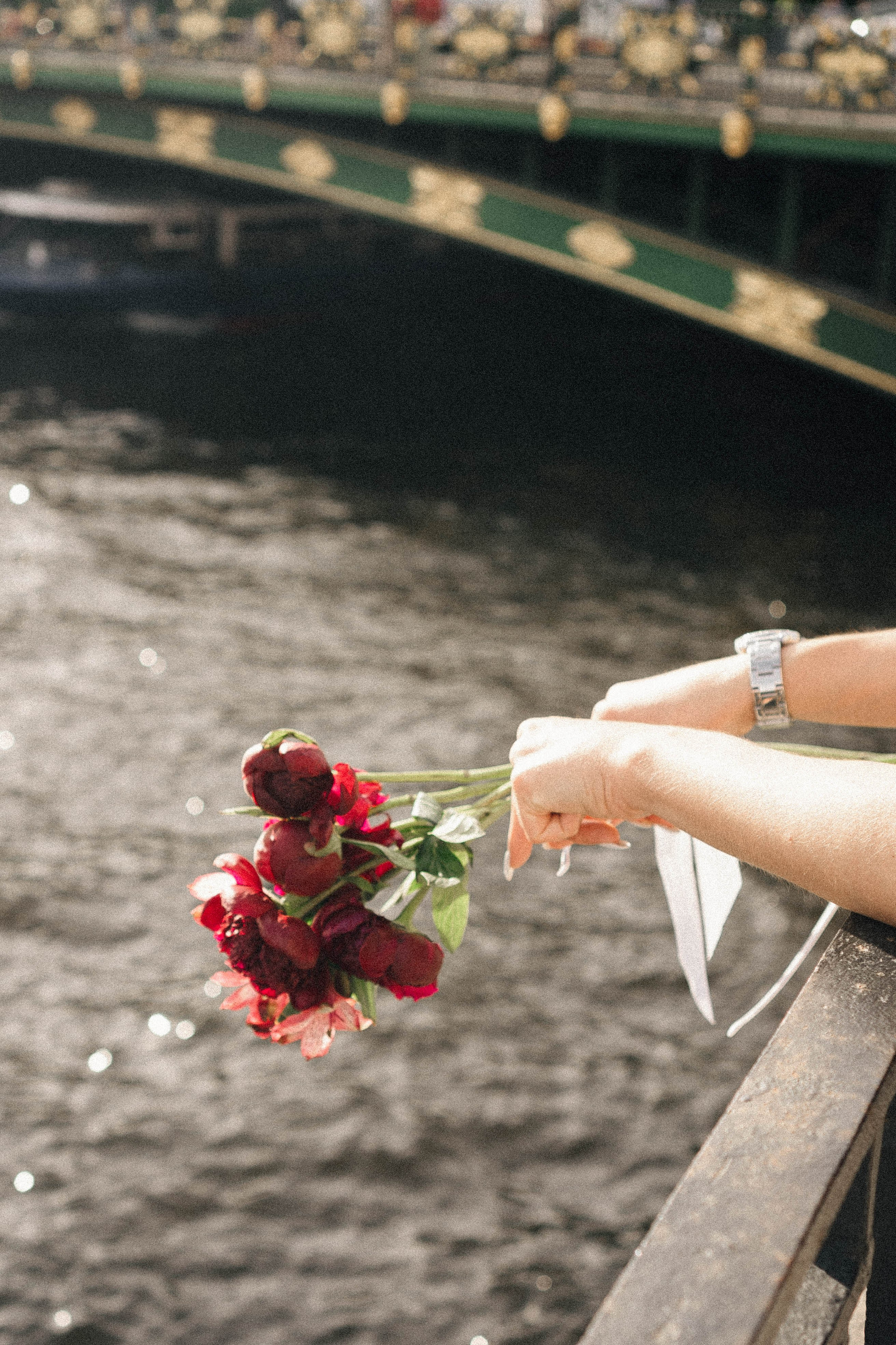 Крыши питера. Профессиональный фотограф, Санкт-Петербург — Виктория Богомолова