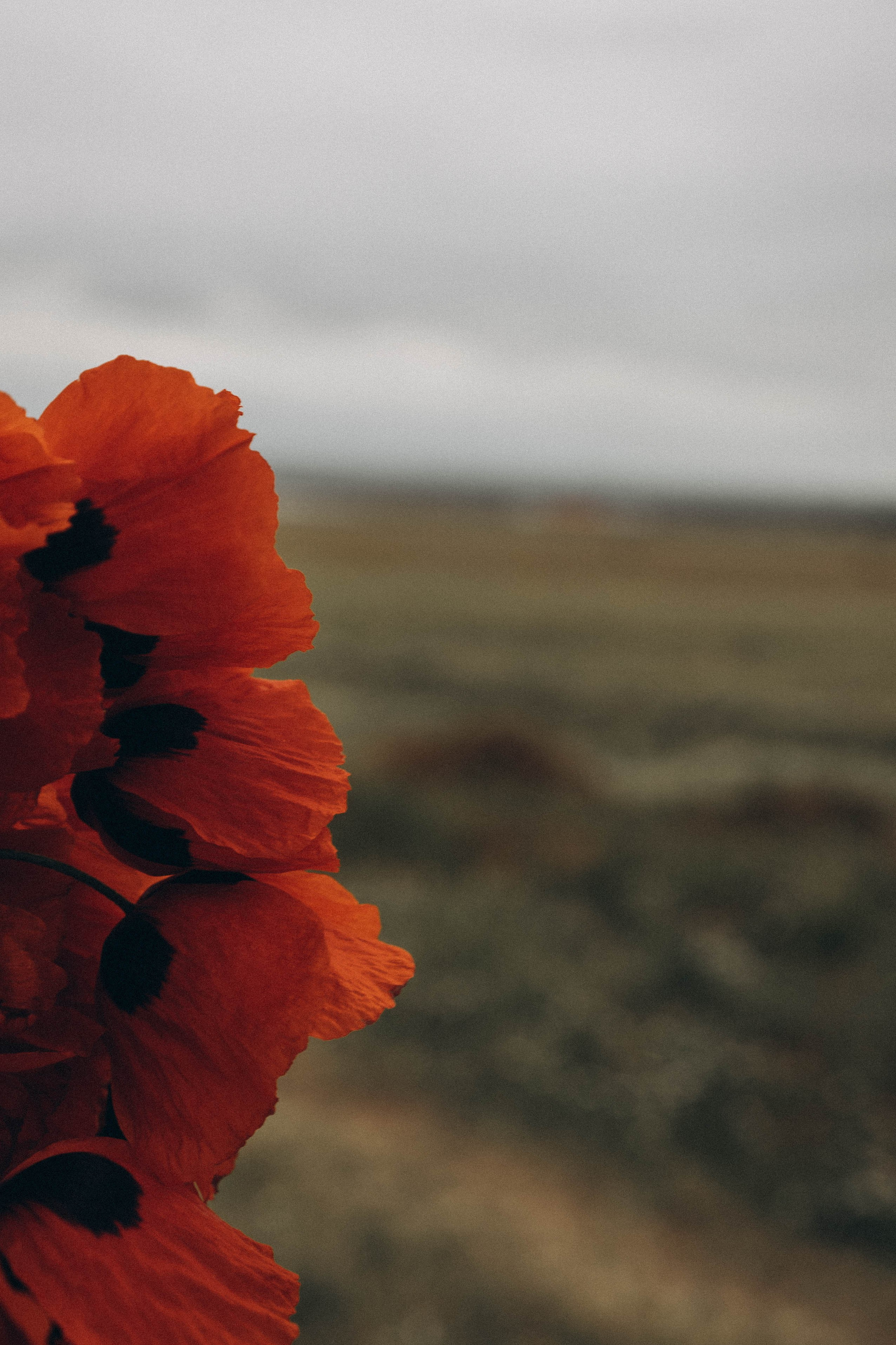 Путешествие в Дагестане. Профессиональный фотограф, Санкт-Петербург — Виктория Богомолова