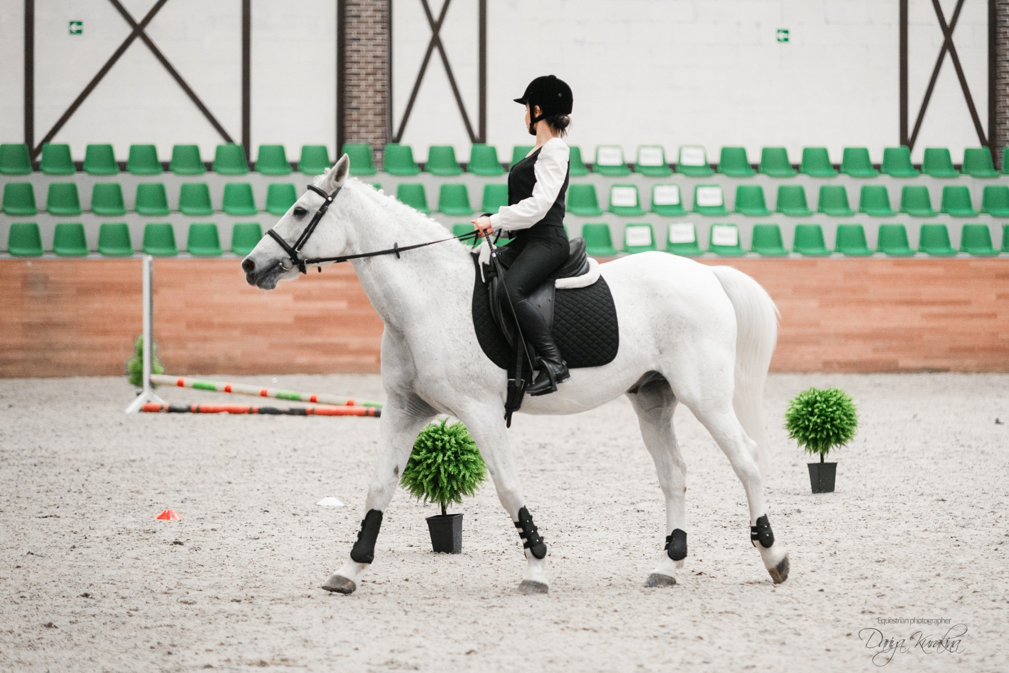 8-я международная выставка Конная Россия. Конный фотограф Куракина Дарья • Фотосессии с лошадьми