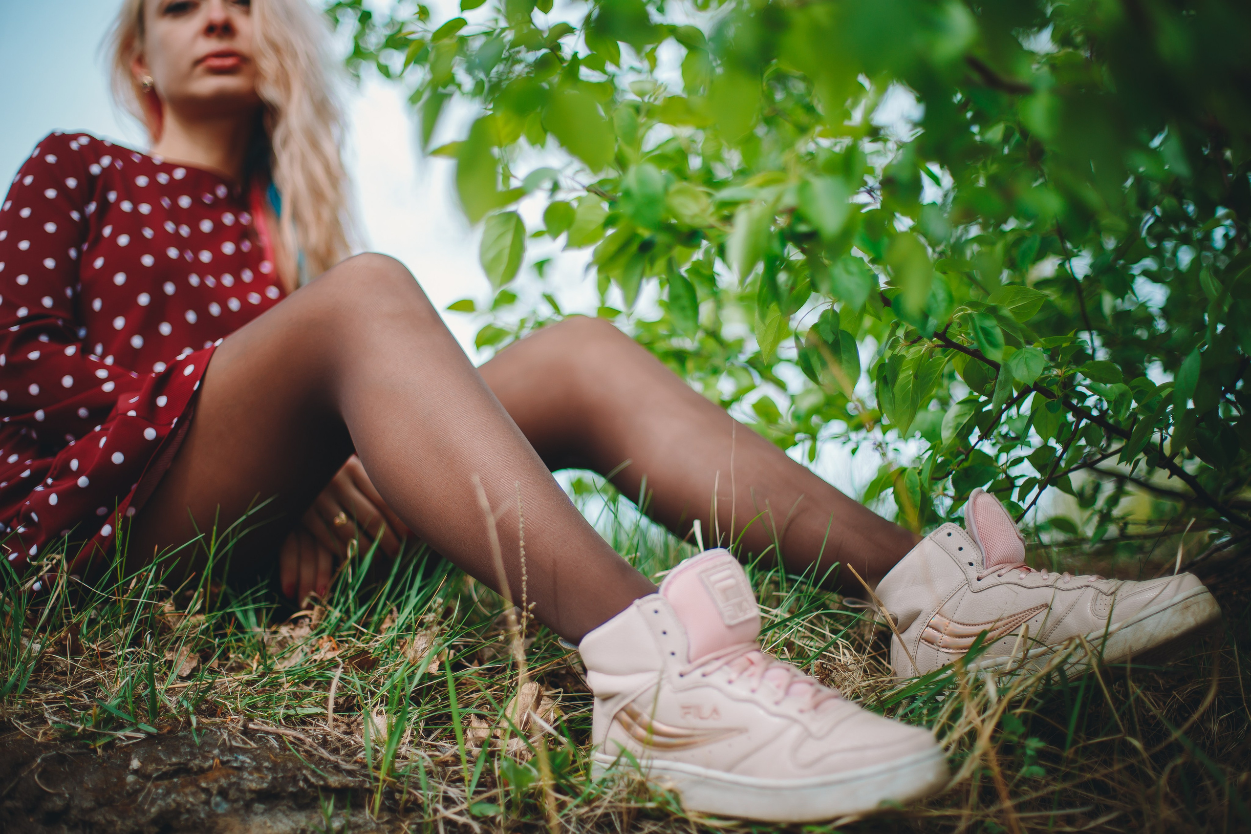 Яблони. Фотограф в Абакане Николай Окунев