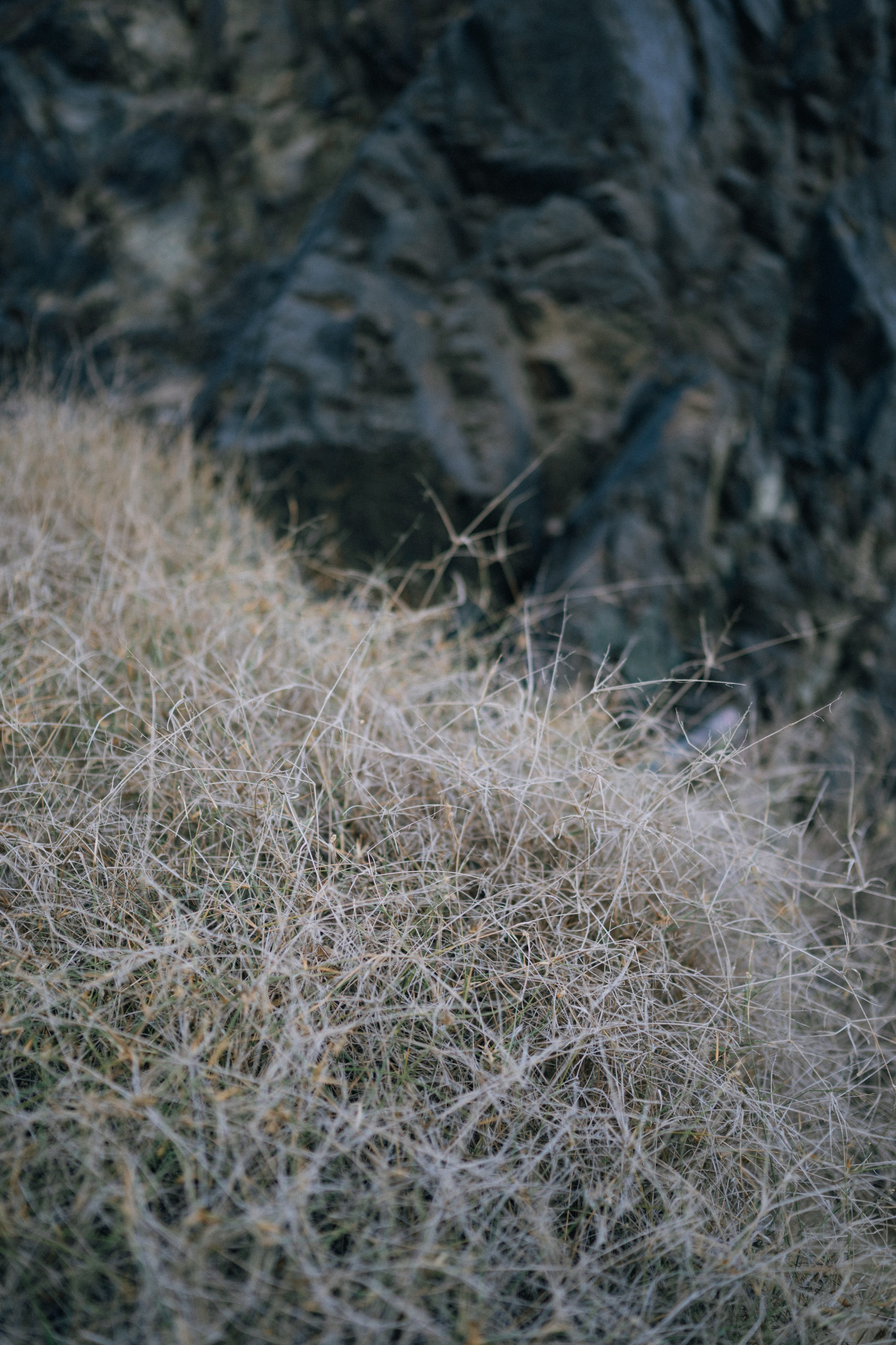 FUJEIRAH. Свадебный и семейный фотограф Никита Корохов