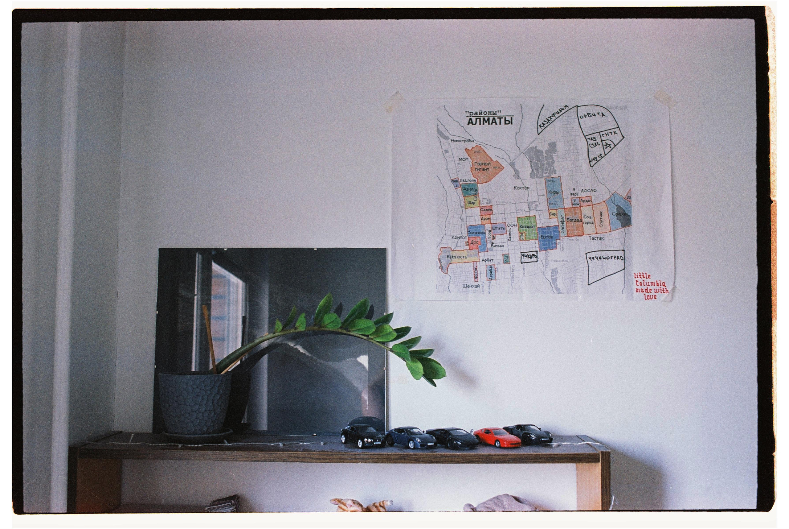 Пленка. Фотограф Дарья Комарова