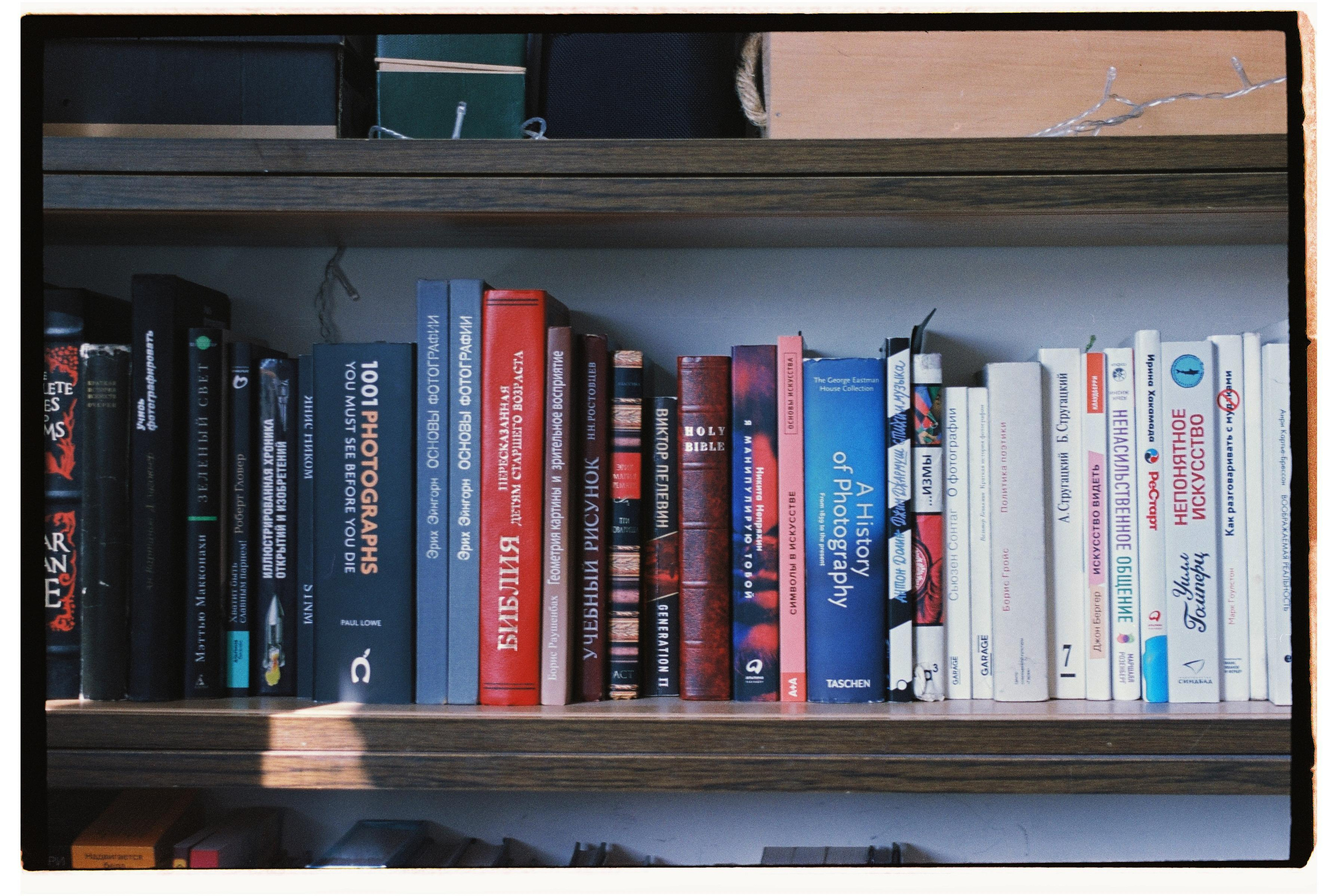 Пленка. Фотограф Дарья Комарова