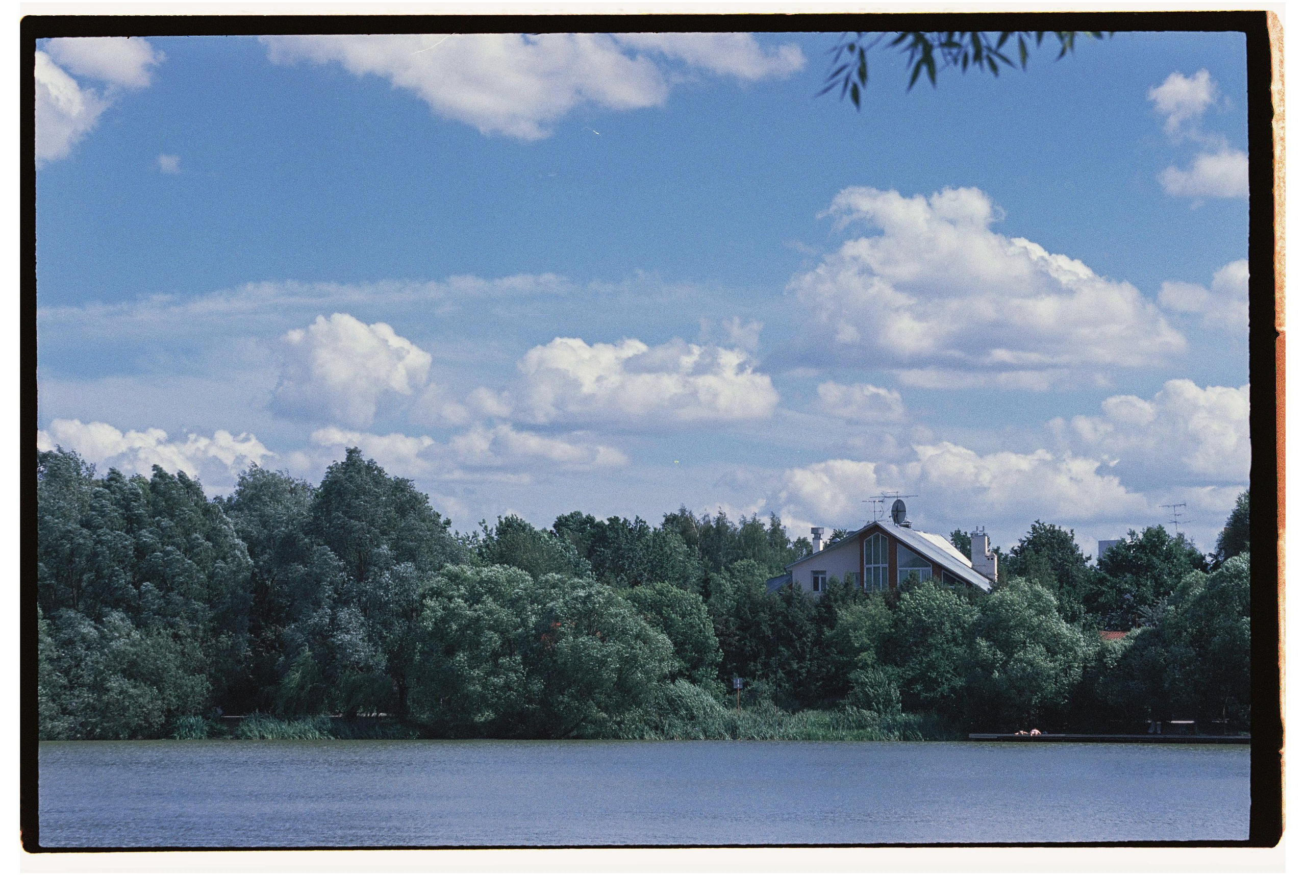 Пленка. Фотограф Дарья Комарова