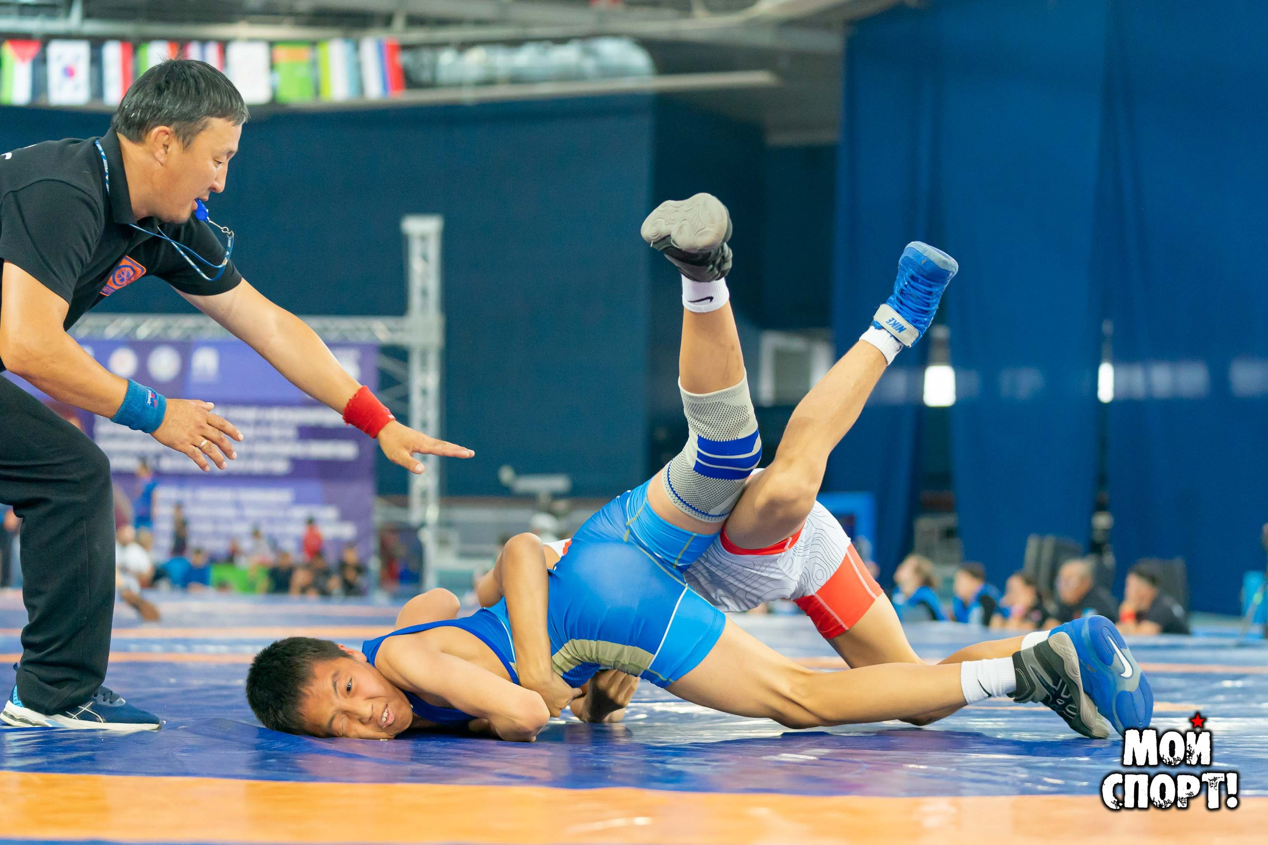 Соревнования по вольной борьбе в честь П. П. Пинигина. Студия «Мой Спорт!» — все о спорте в Якутии