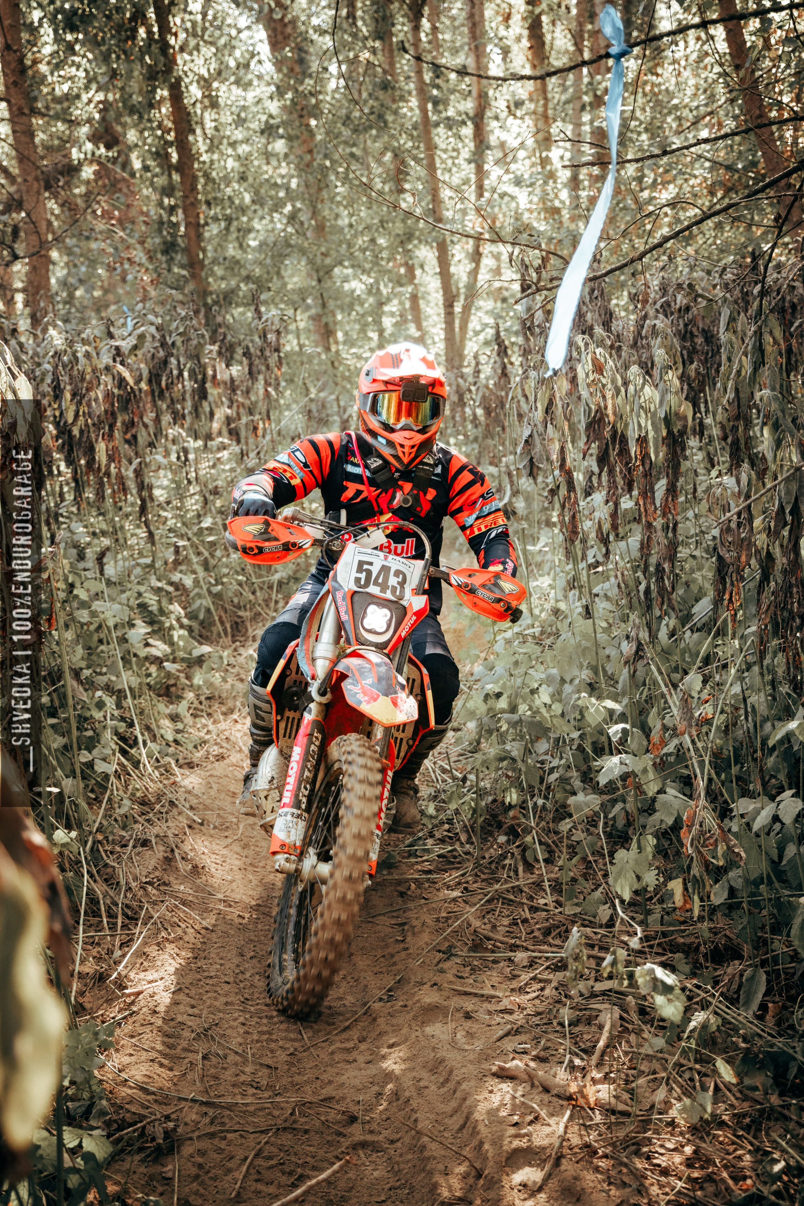 2 лесной день. Ваш экстрим фотограф Кудрева Яна