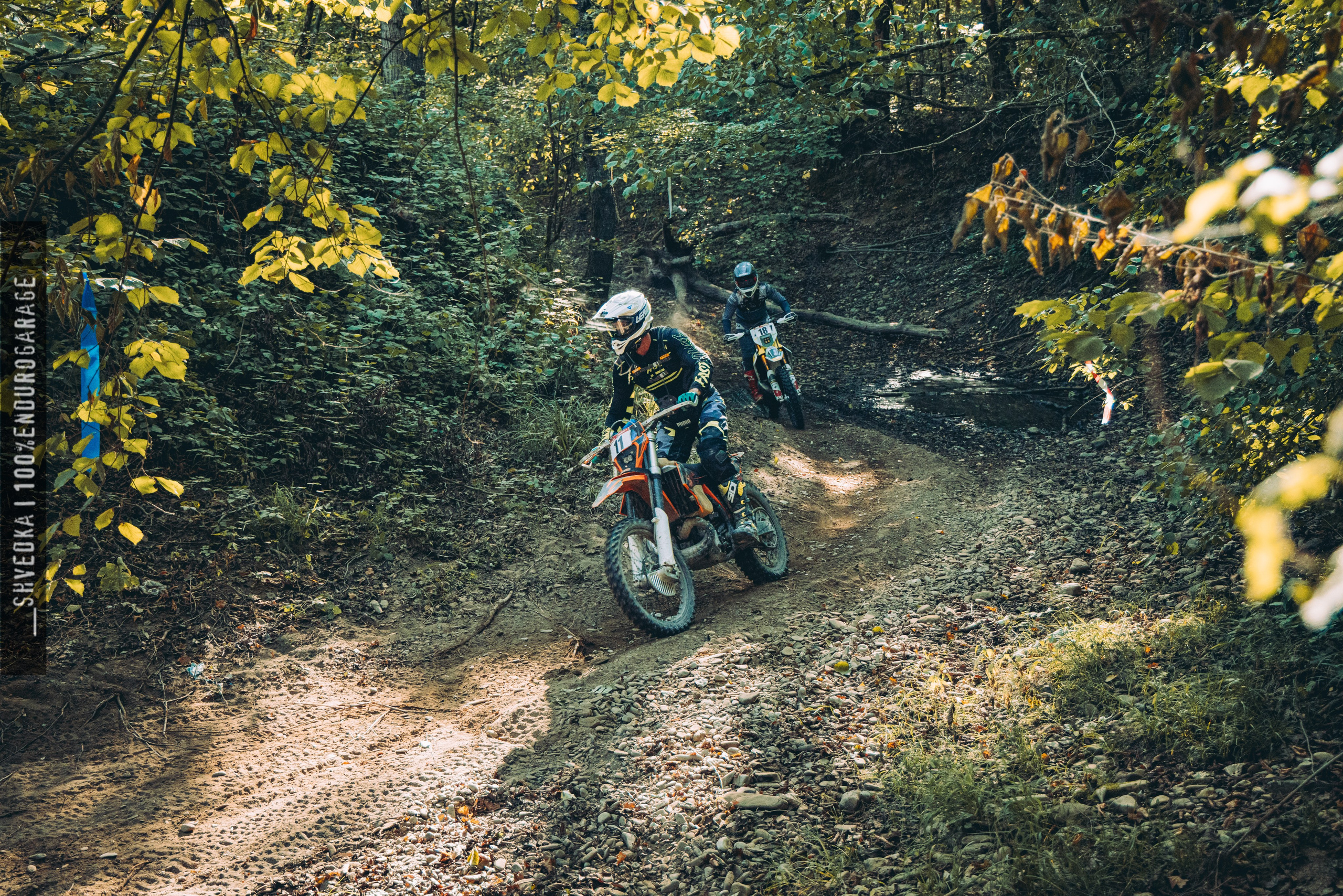 2 лесной день. Ваш экстрим фотограф Кудрева Яна